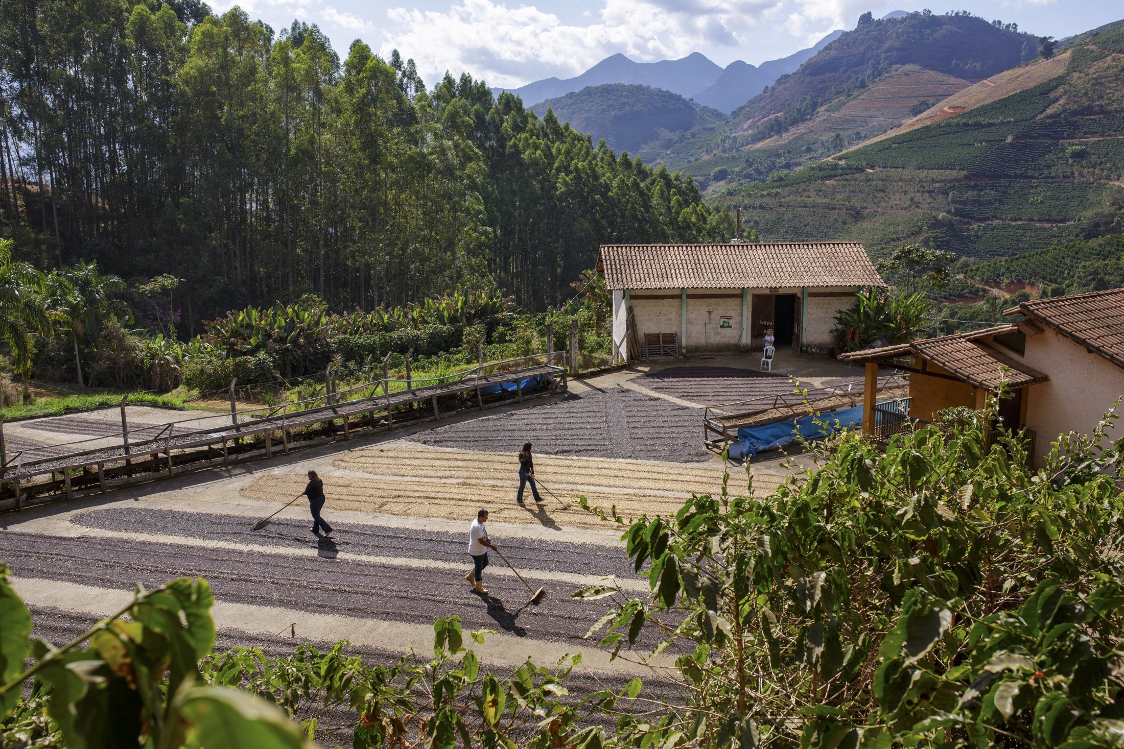 SITIO JARDIM DAS OLIVEIRAS - 6590.jpg