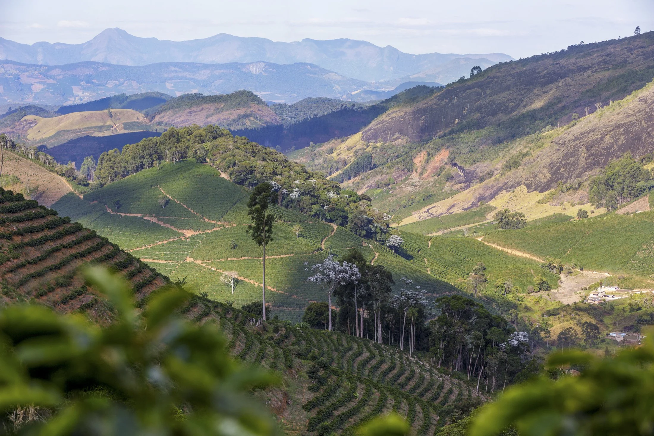 SITIO LALA - 7928-Edit.jpg