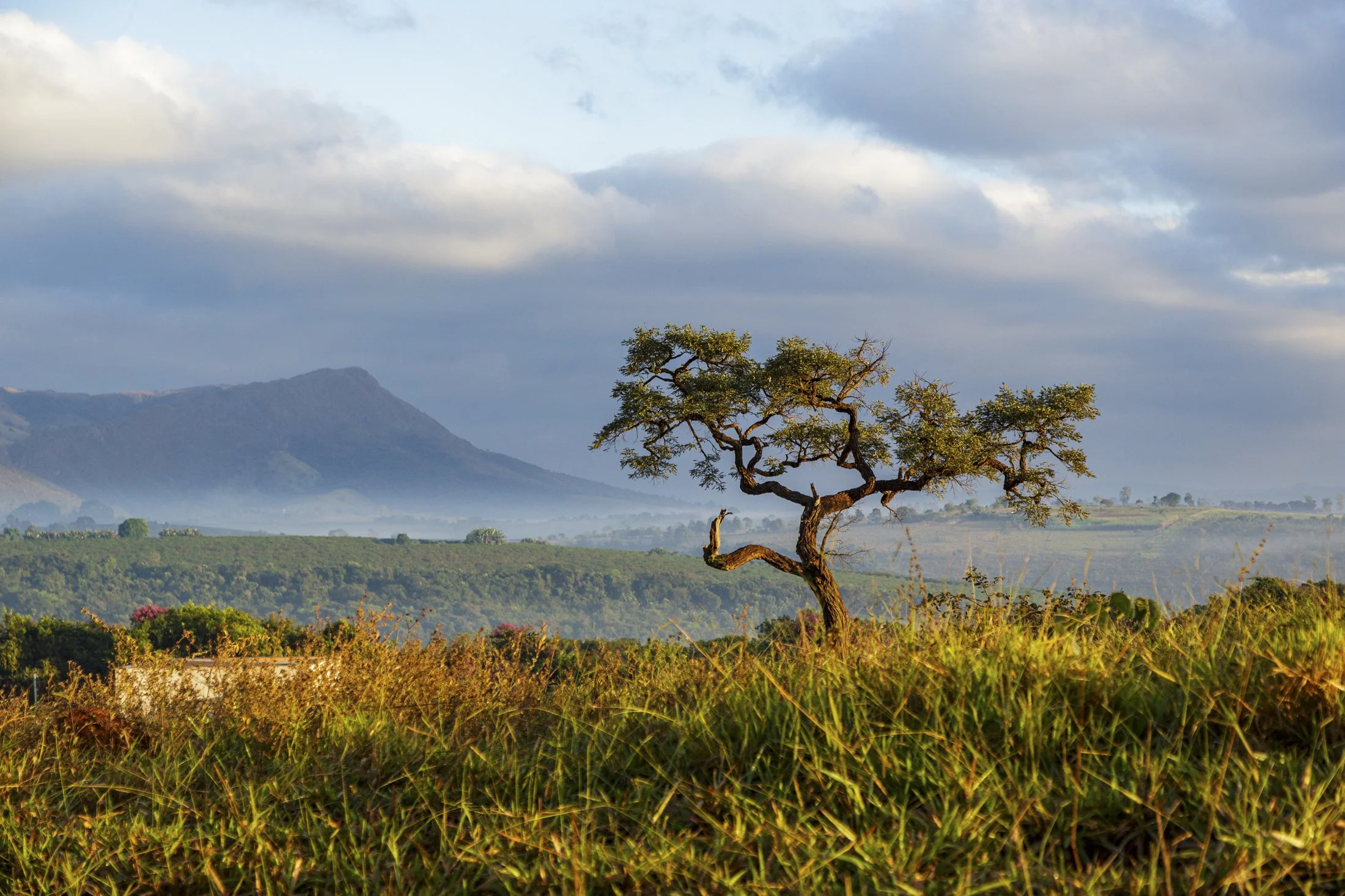 TERROIR DE SAO ROQUE - 6492.jpg
