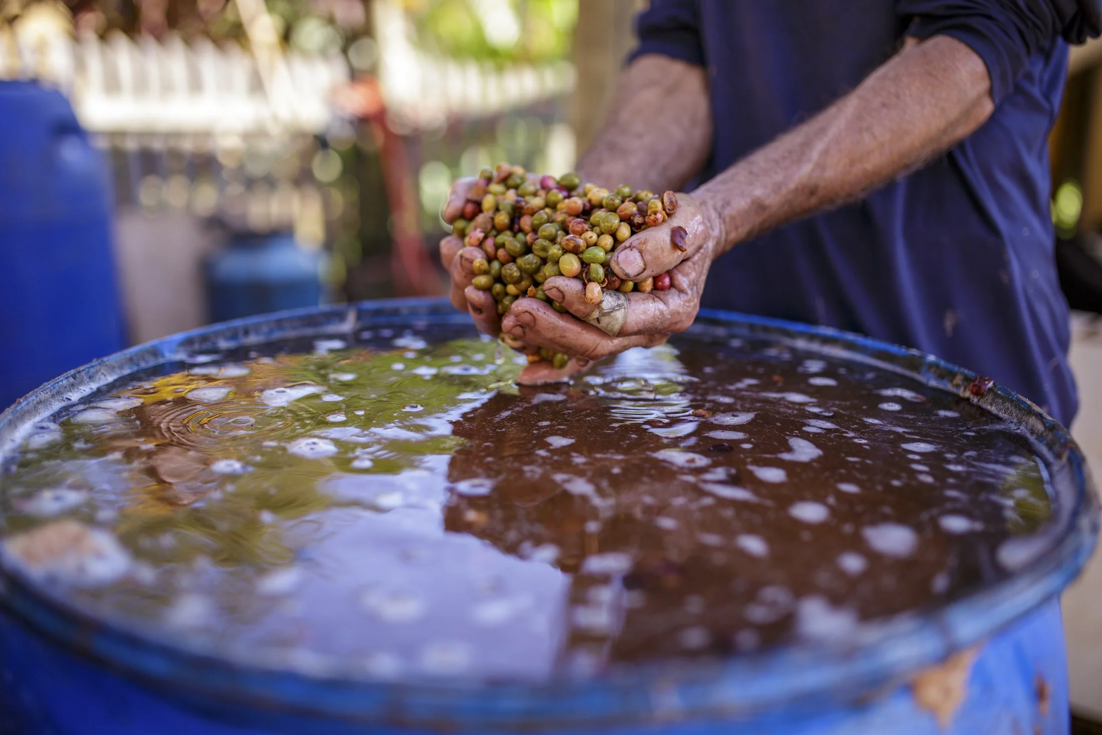 SITIO GRAOS DE OURO -_CO_5023.jpg