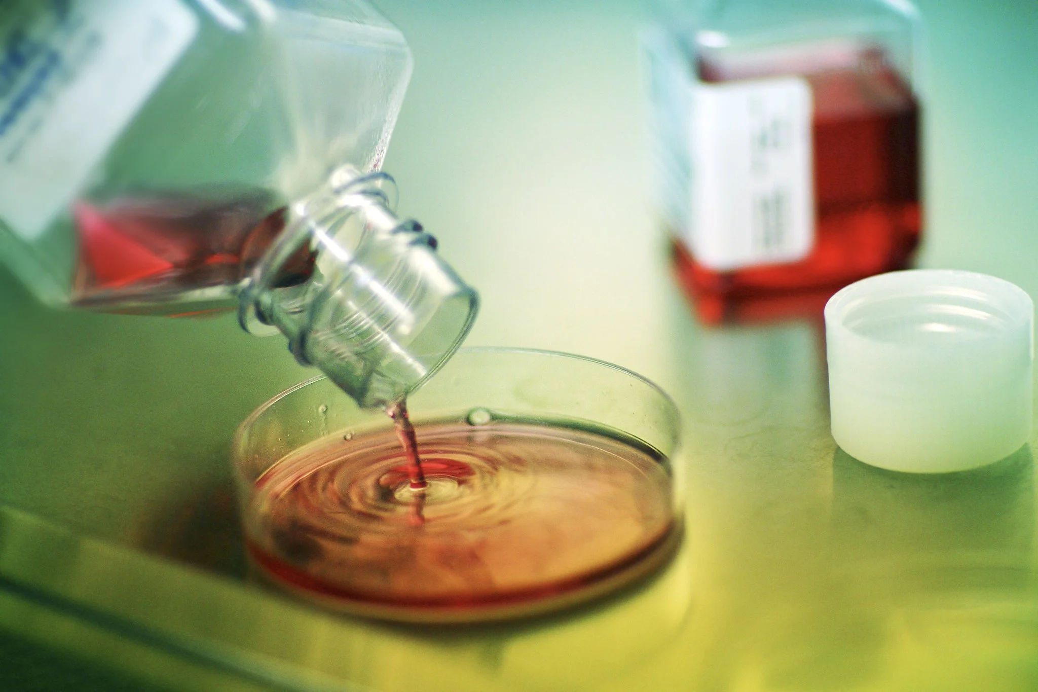 Stills labs-98 B.jpg