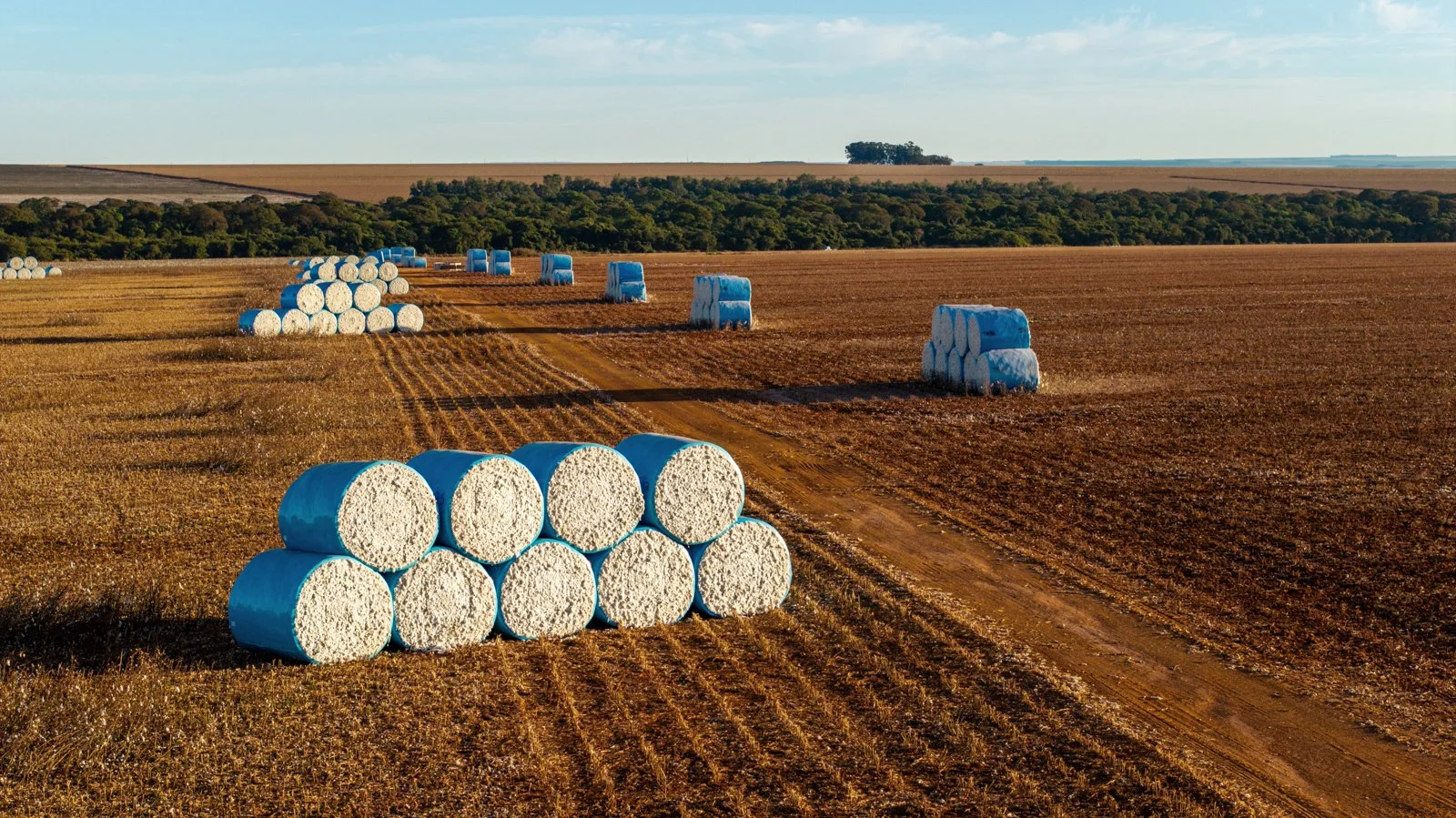 ABRAPA 0093_Drone.jpg