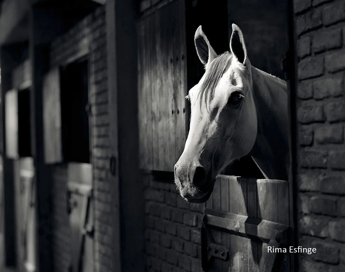 Rima Esfinge,100ppi.jpg