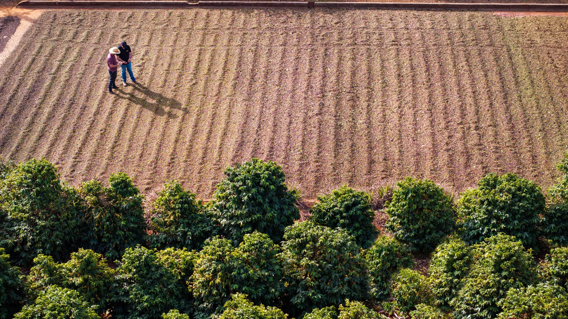 DJI_20240625130053_0563_D-Edit.jpg