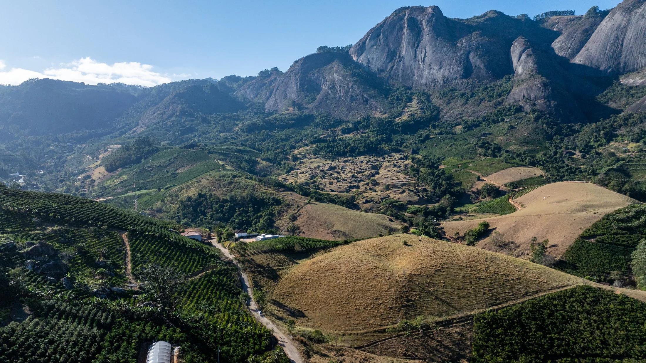 DJI_20240712064427_0240_D.jpg