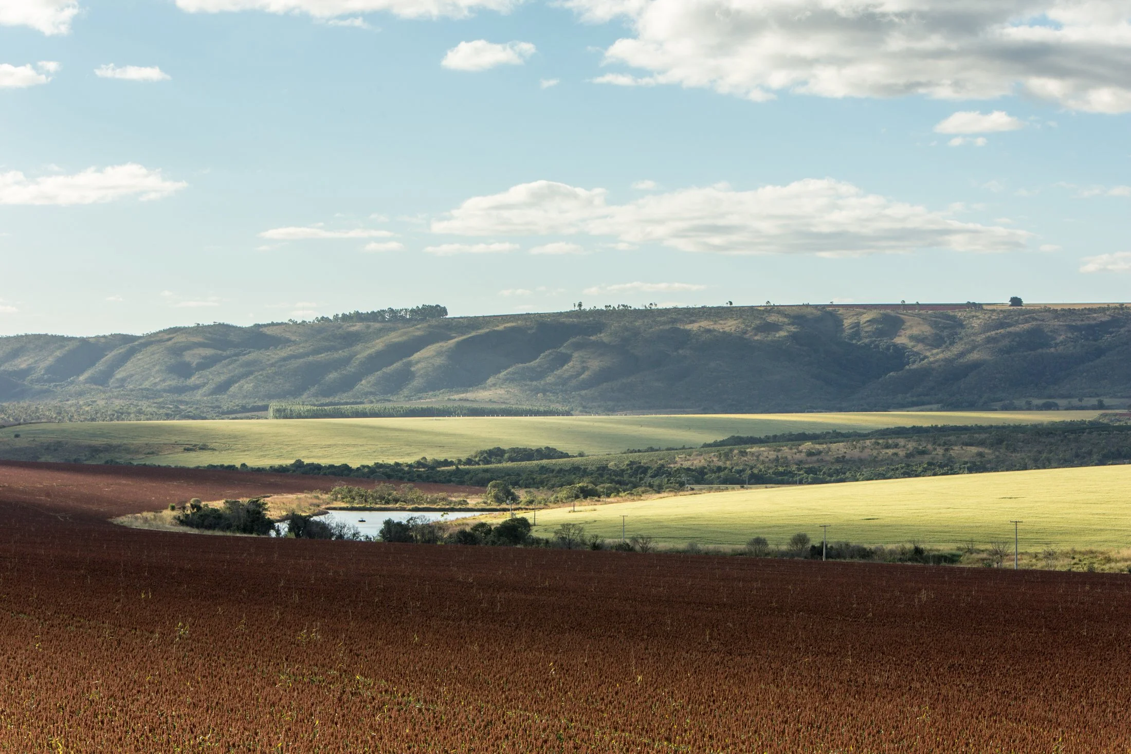 Riber_KWS_jul2017_8047.jpg