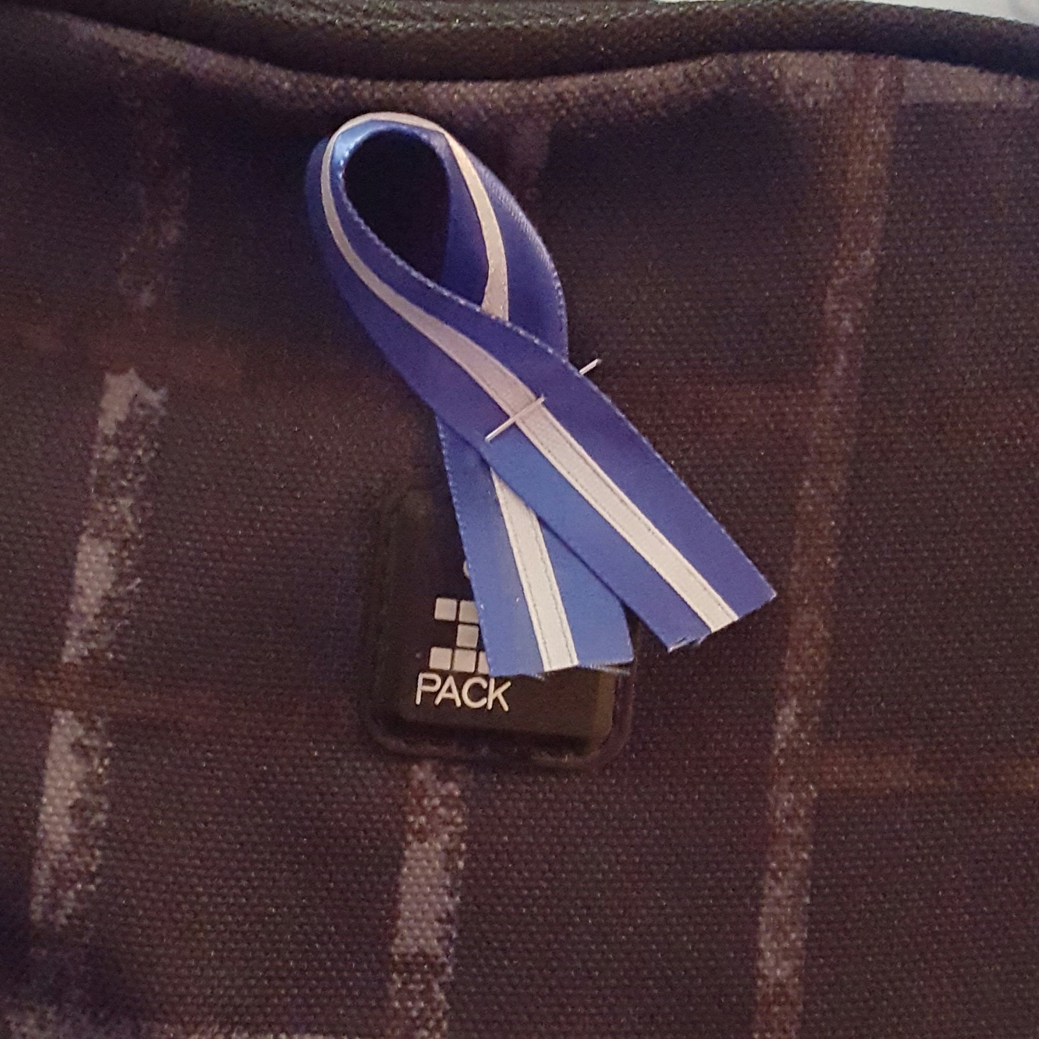 A Thin White Line ribbon that I have pinned to my backpack, my lunch box, my work ID, and hanging in my car to always keep Hinal with me and to always keep her spirit and memory alive.