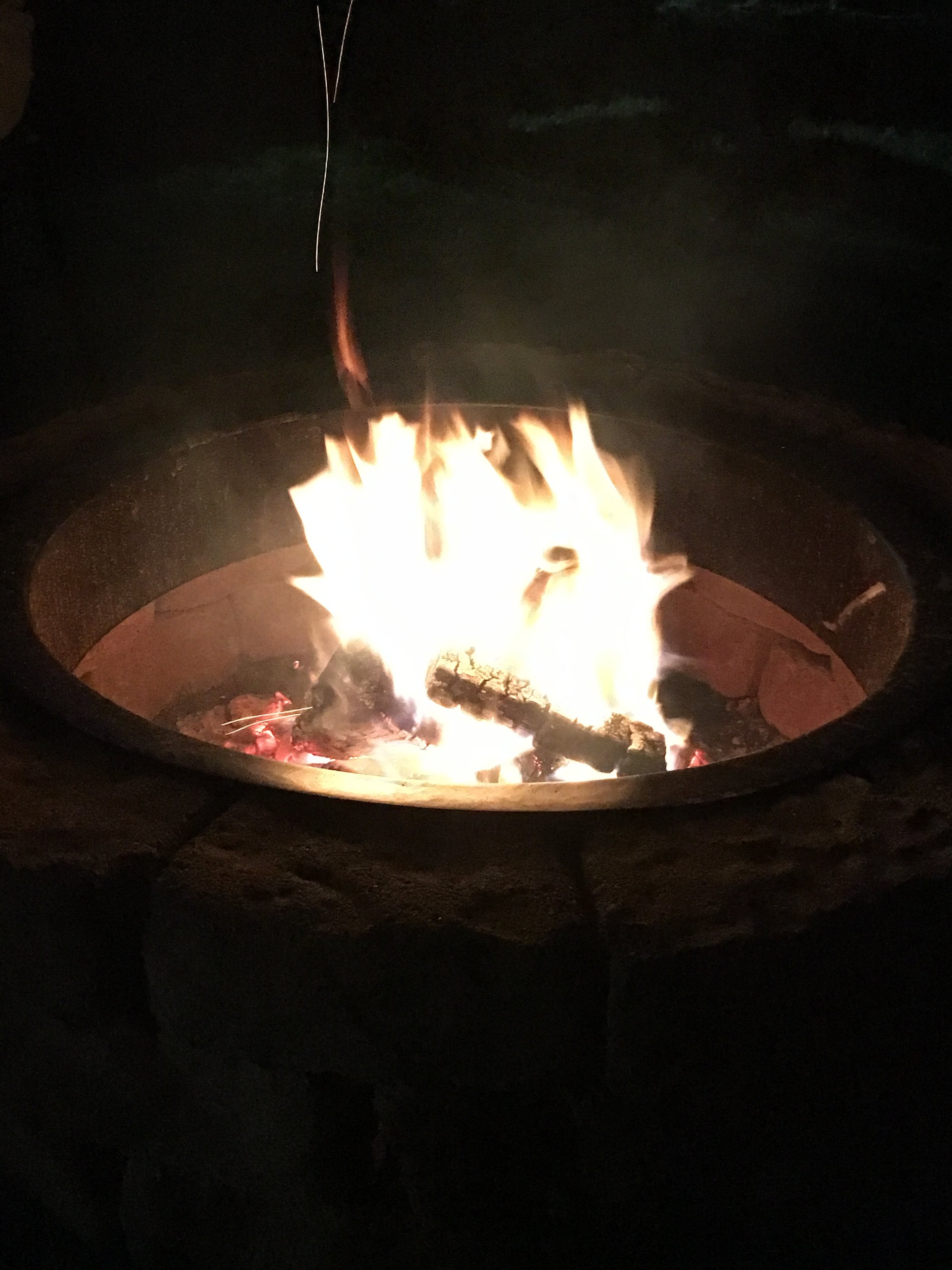 Understanding Wind Driven Fires