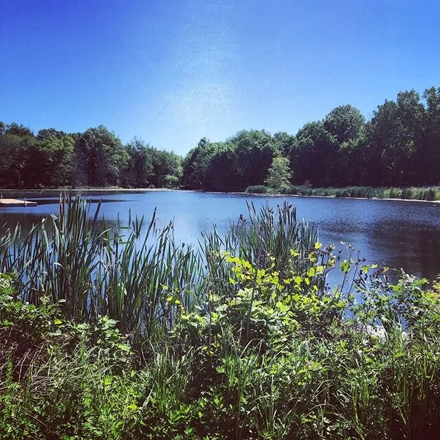 Tranquility. Sometimes the best thing to do is to sit back and enjoy the view to clear the mind and body. #sundayvibes #tranquility #relax