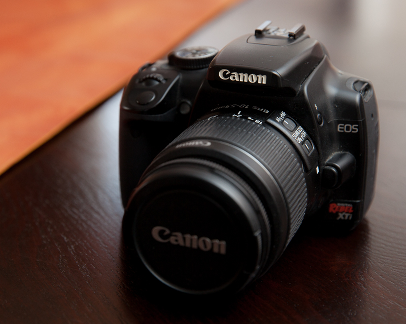 My old Rebel, about a decade old now, was my first "real" digital camera. Still works.