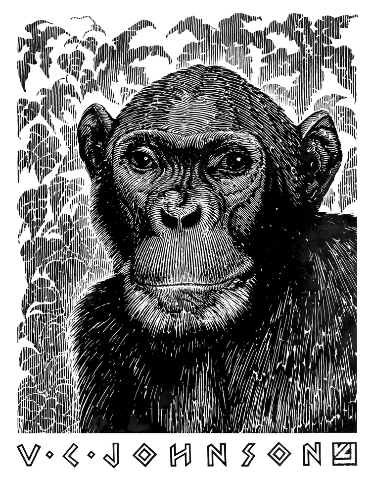 "Chimp" by Vernon Courtlandt Johnson. © 1988 VCJ. All rights reserved.