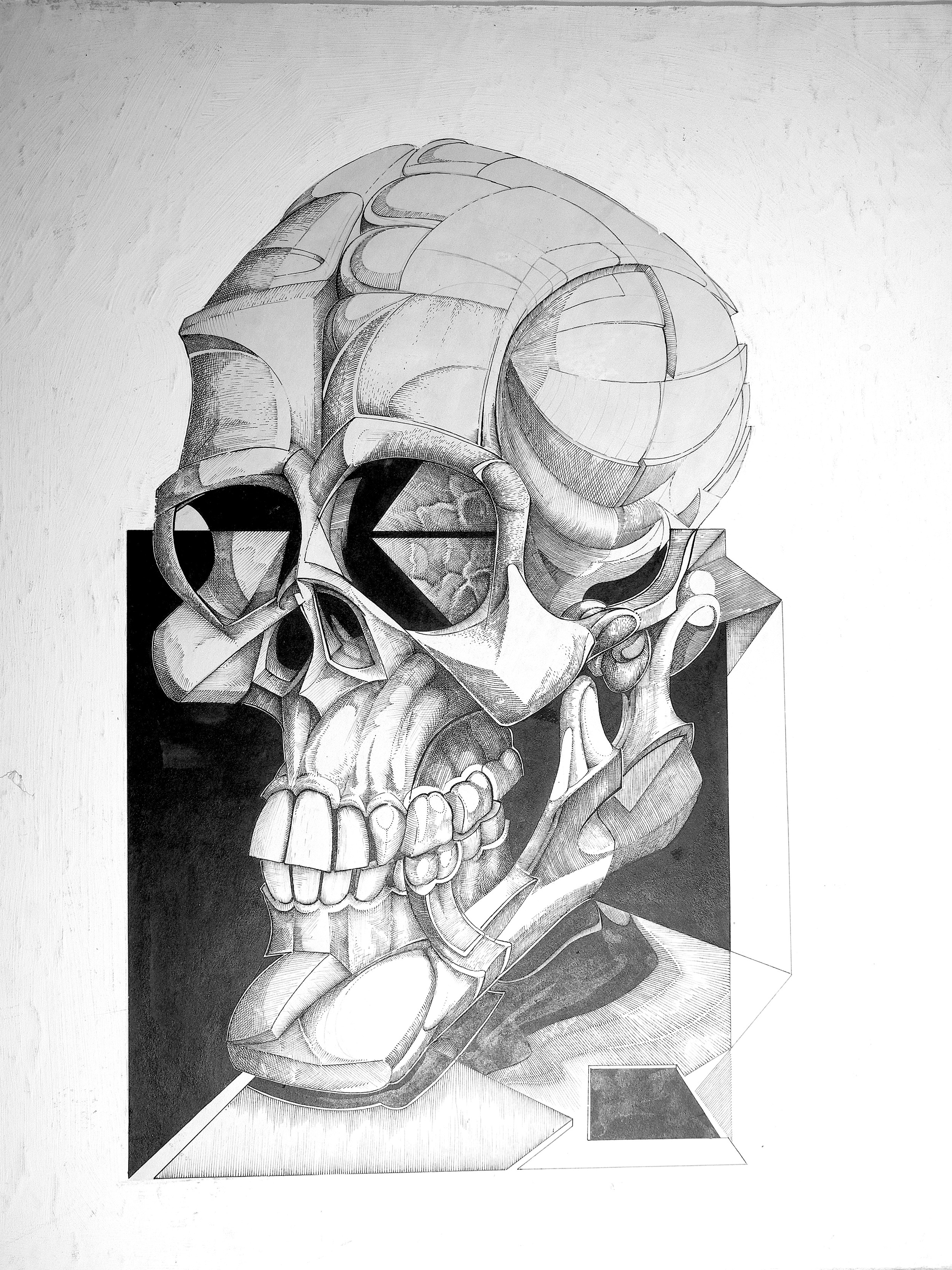 "Skull" by Vernon Courtlandt Johnson. © 1980 VCJ. All rights reserved.