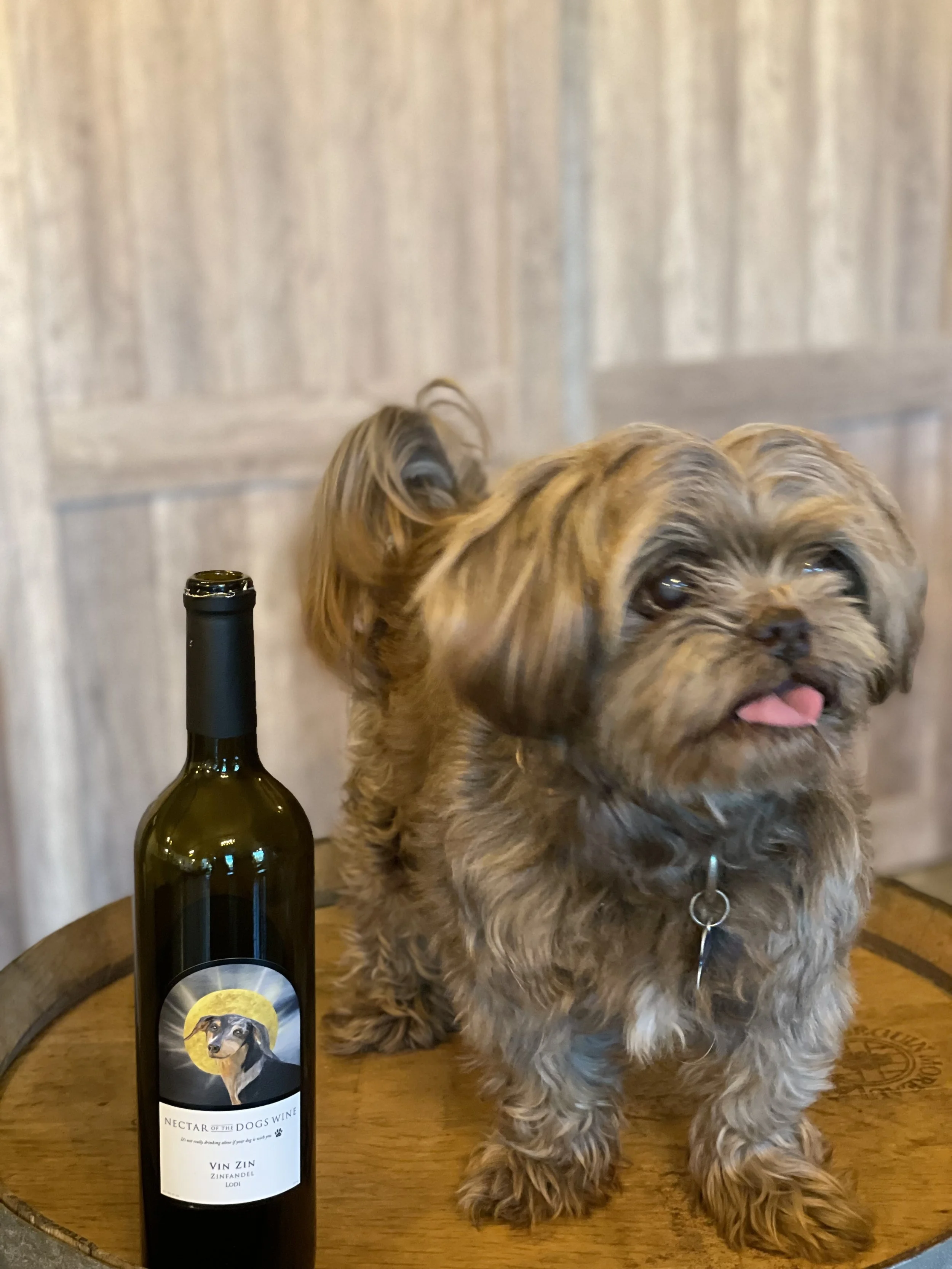 A small brown dog with long hair and a pink tongue sticking out, standing on a wooden surface next to a bottle of wine that has a label with a dog illustration and the text 'Nectar of the Dogs Wine'.