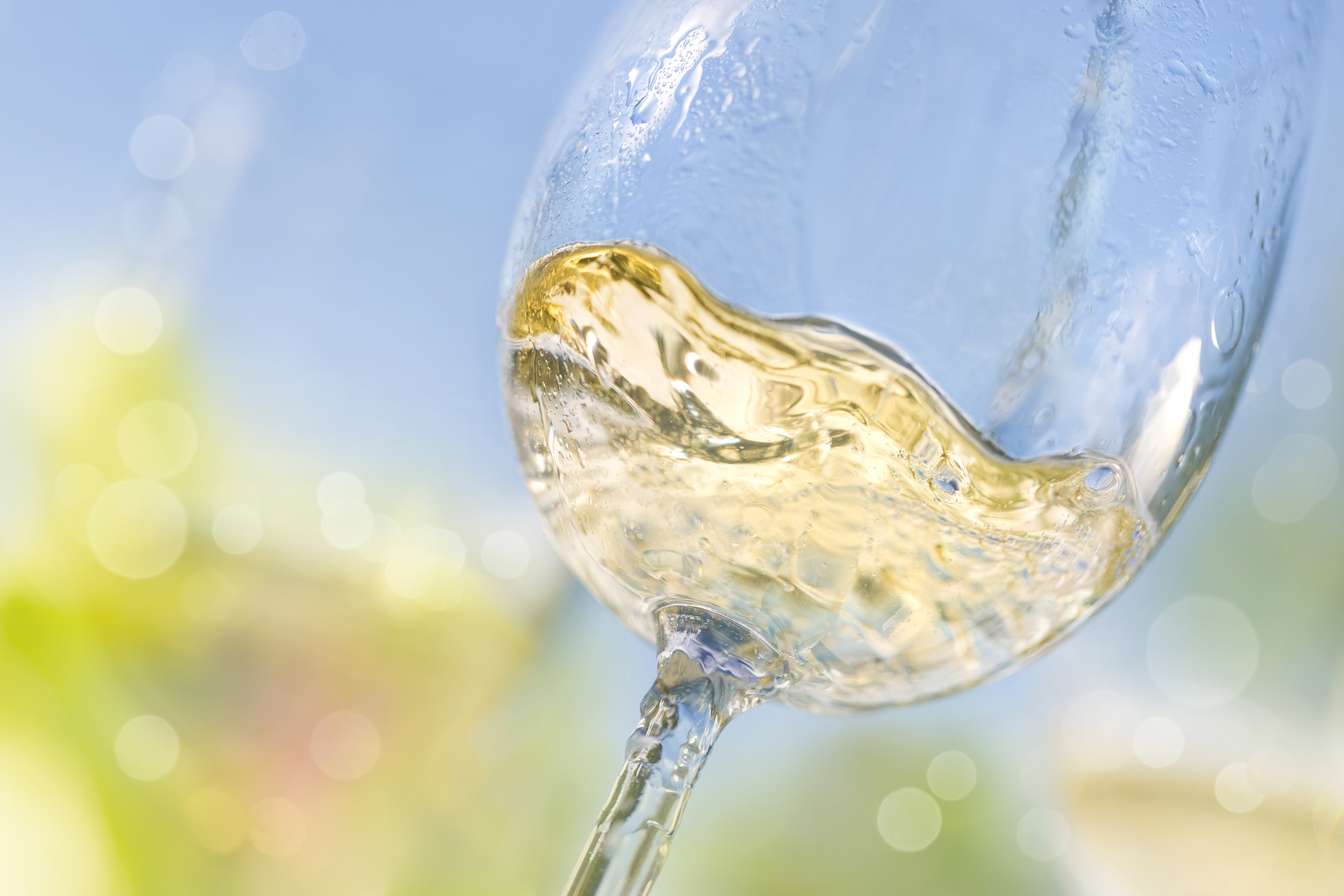 wine_01.jpg