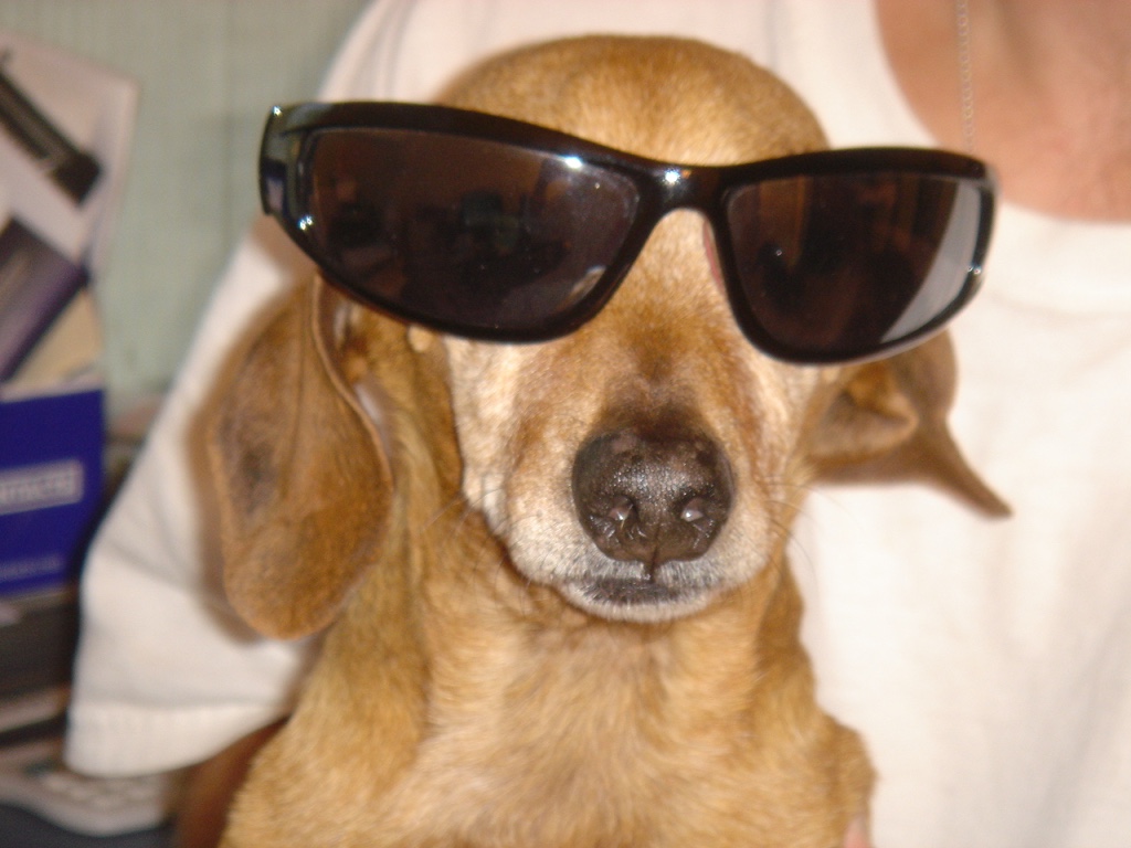 thumb_DSC04163_1024.jpg