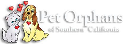 Pet-Orphans-Logo2.png