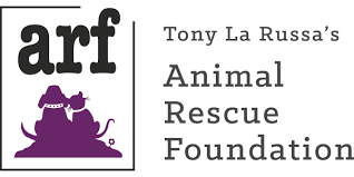 ARF logo.png