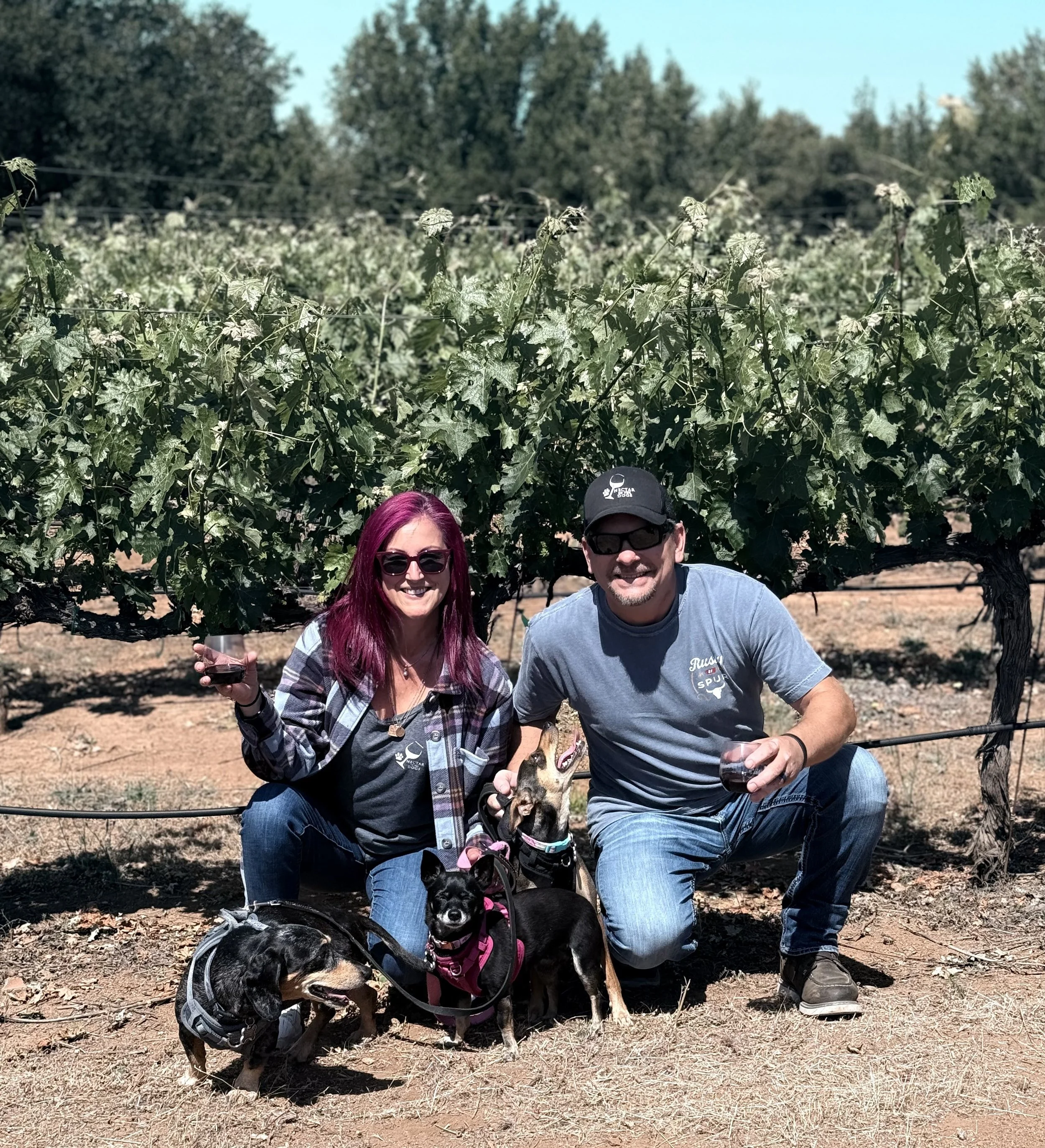 dramatic vineyard_0711.jpg
