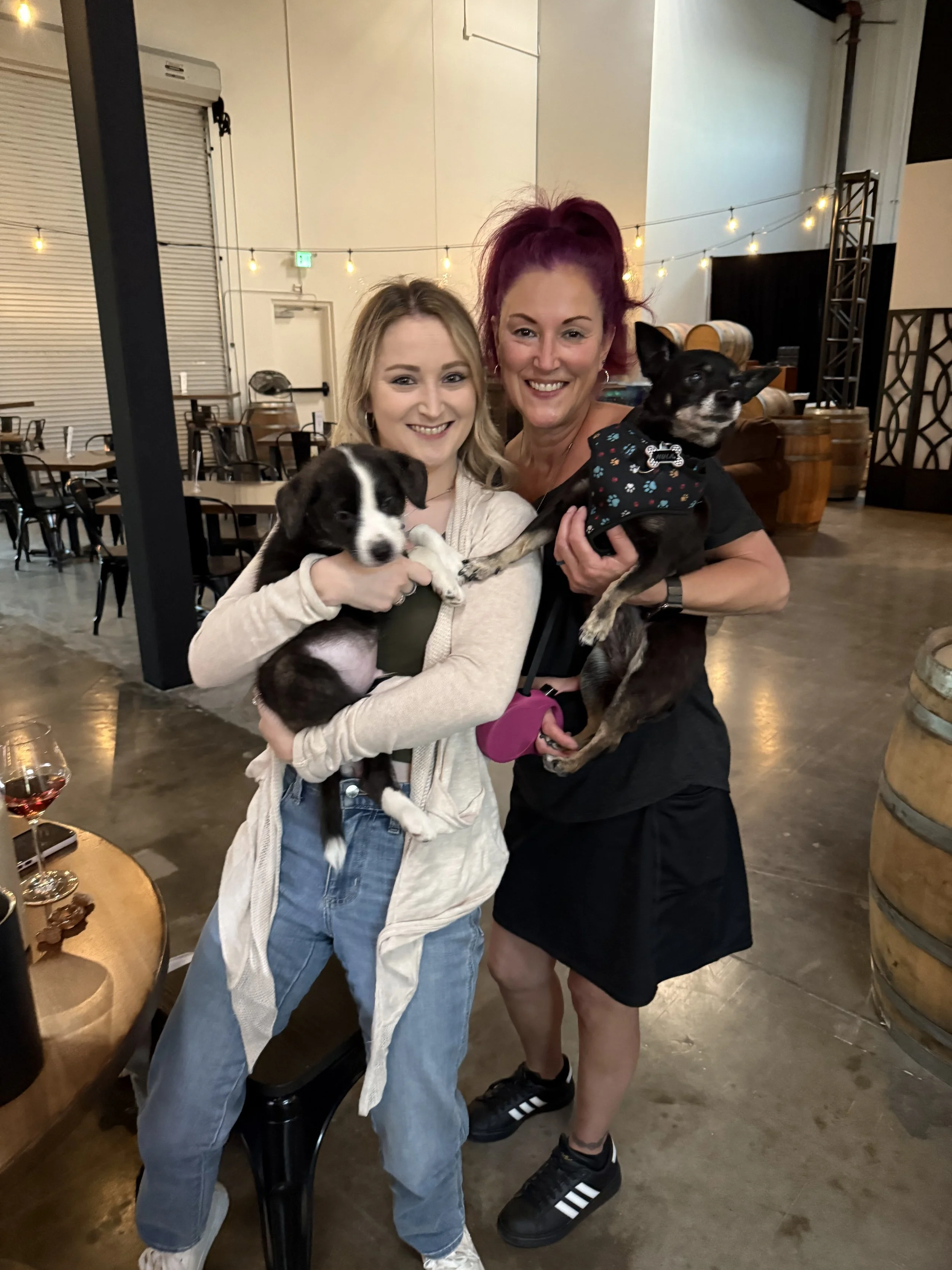 Two women holding adorable dogs, standing in the tasting room with string lights hanging behind them.