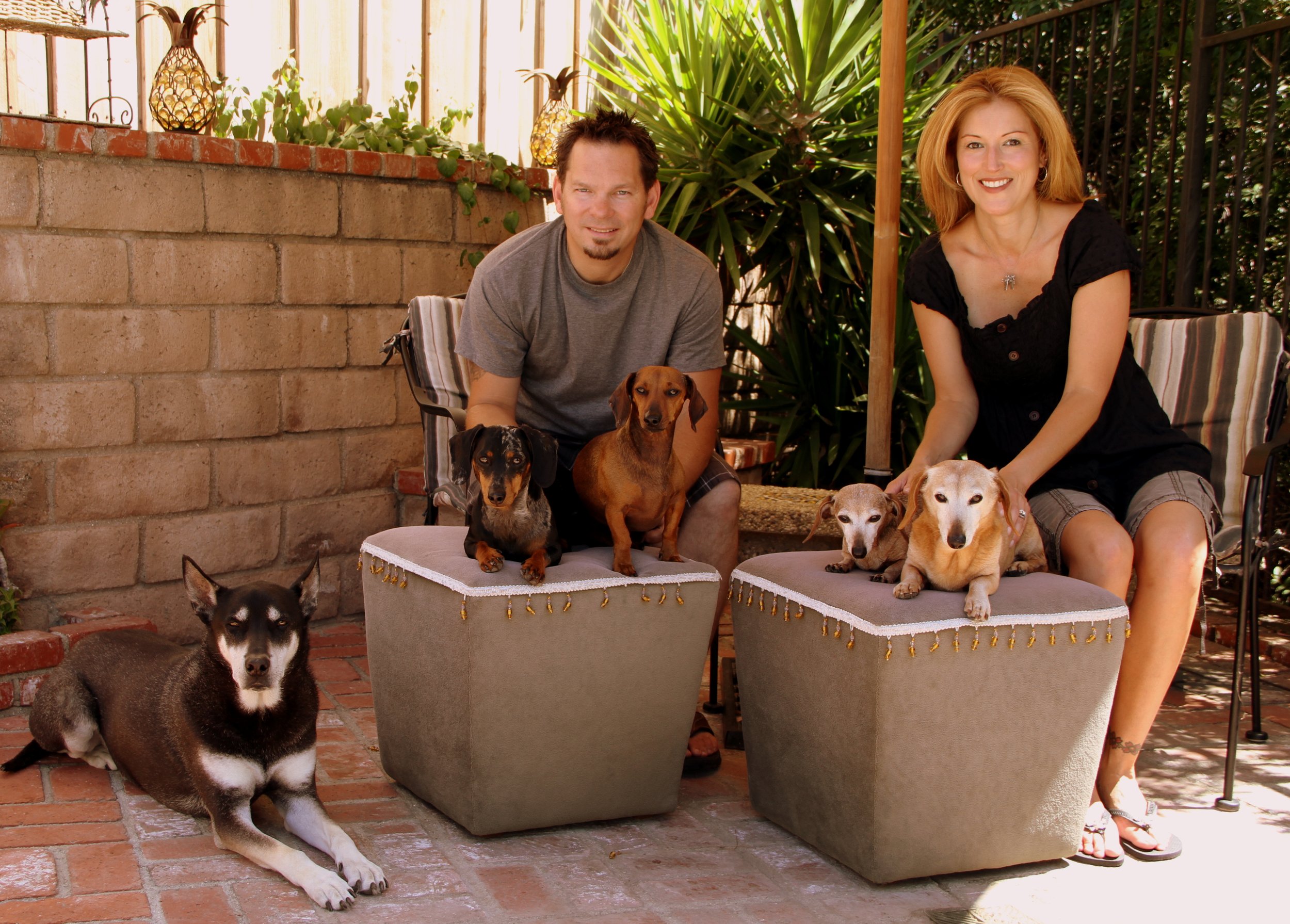 A man and woman with five dogs in a backyard, four dogs sitting on ottomans and one on the ground, surrounded by plants and outdoor furniture.