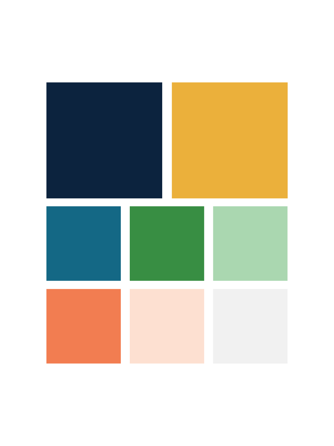 Yellow Bear Foundation Branding-04.png