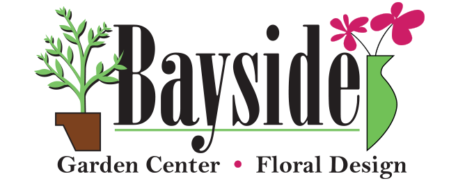 Screen Shot 2025-12-04 at 12.00.44 PM.png