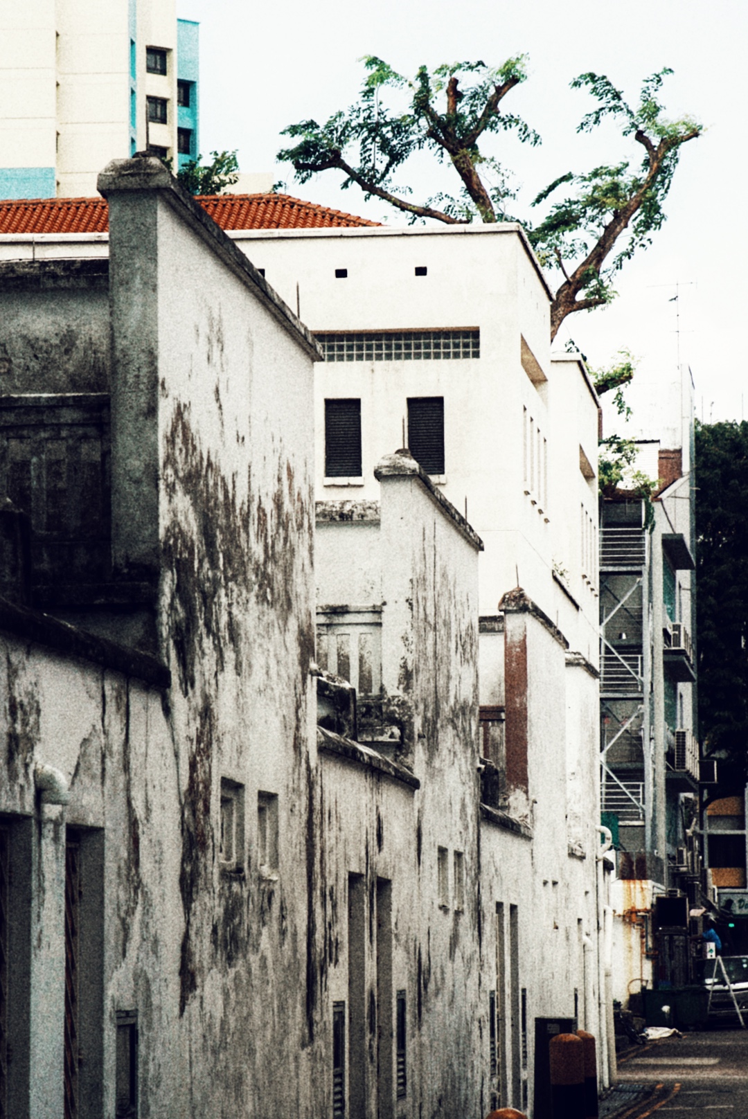 LRG_DSC02114.jpeg