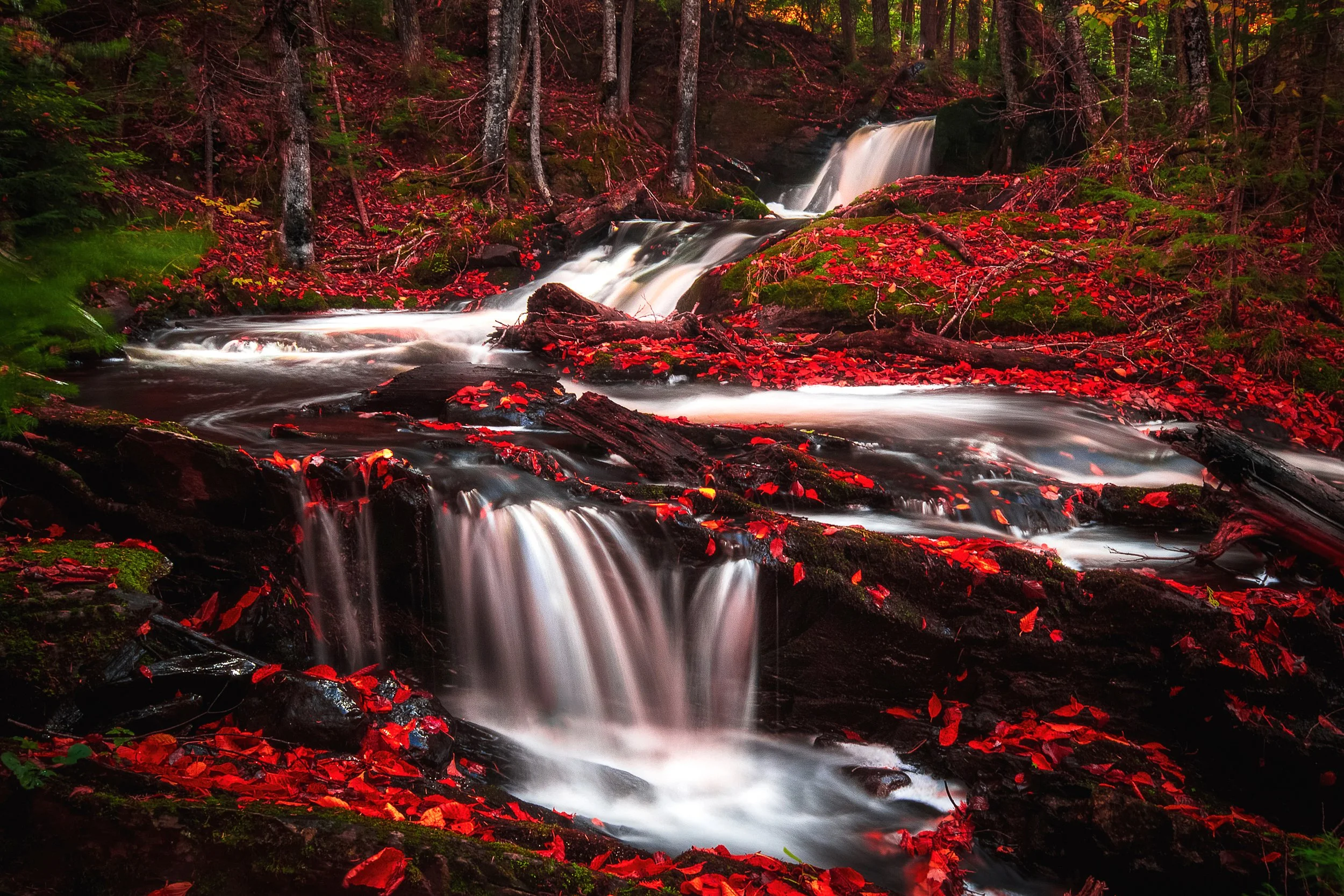 EHP_Nature_Sq Sp Site_100.jpg