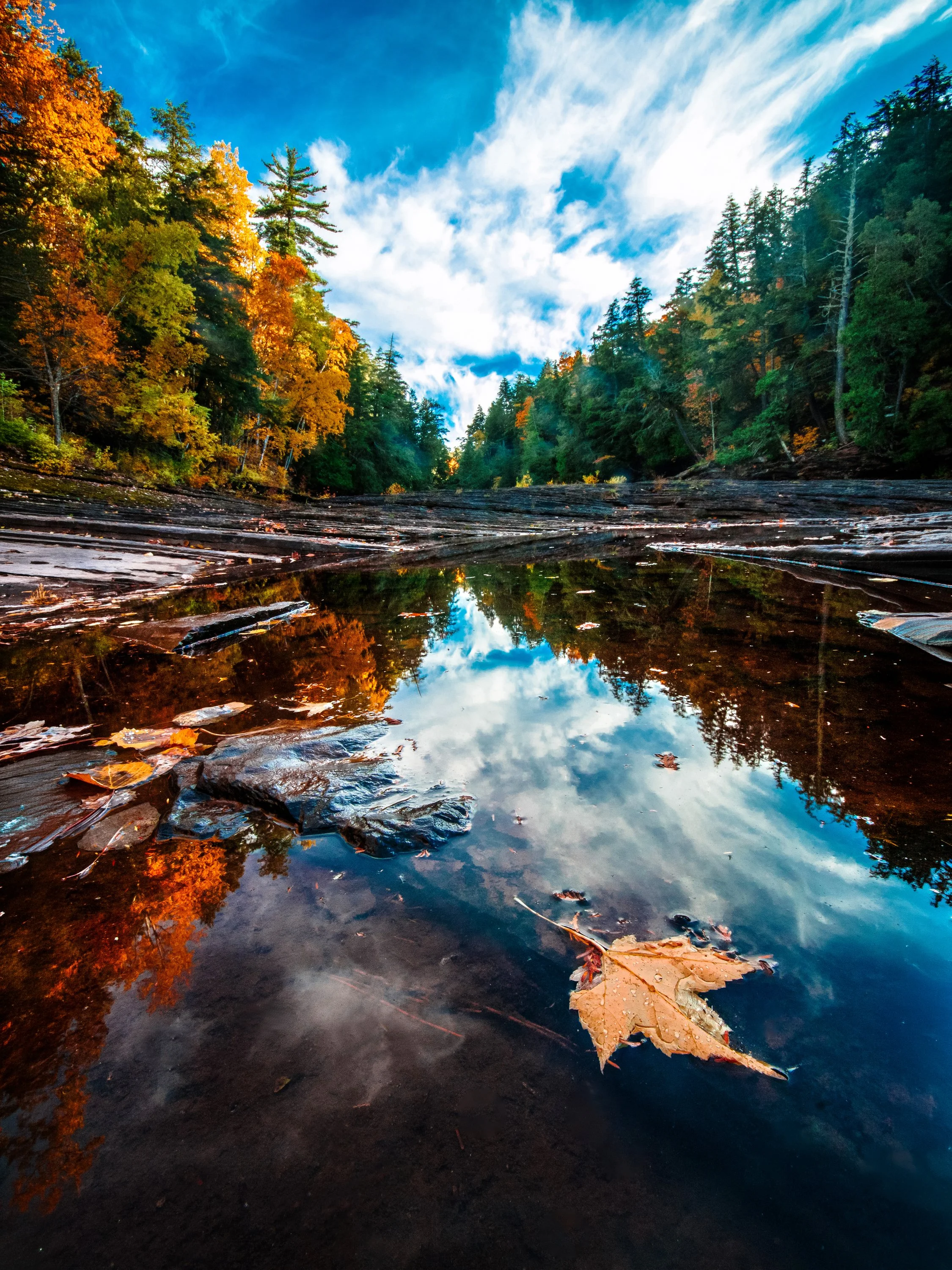EHP_Nature_Sq Sp Site_014.jpg