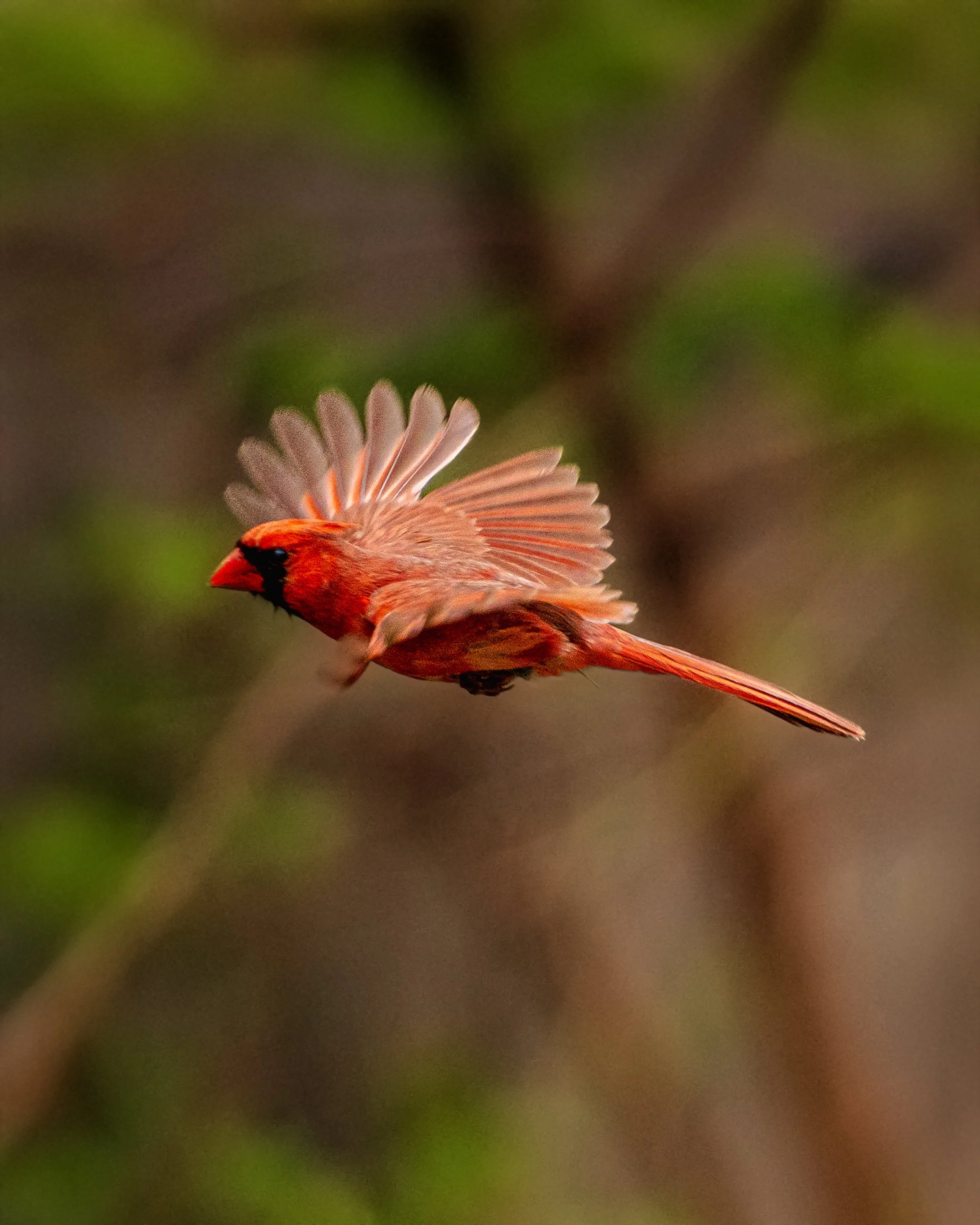 EHP_Nature_Sq Sp Site_052.jpg