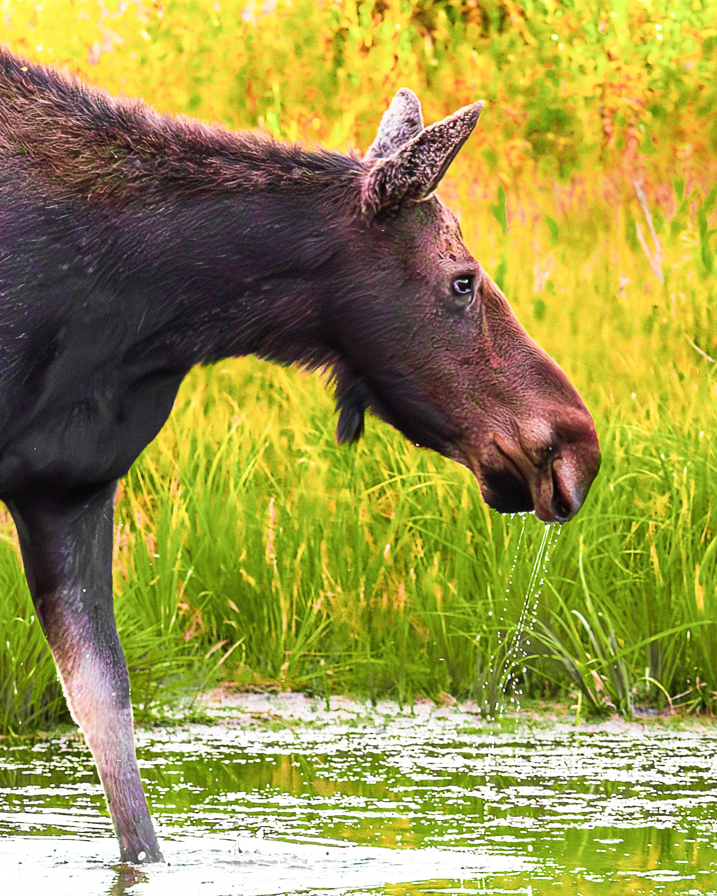 EHP_Nature_Sq Sp Site_085.jpg