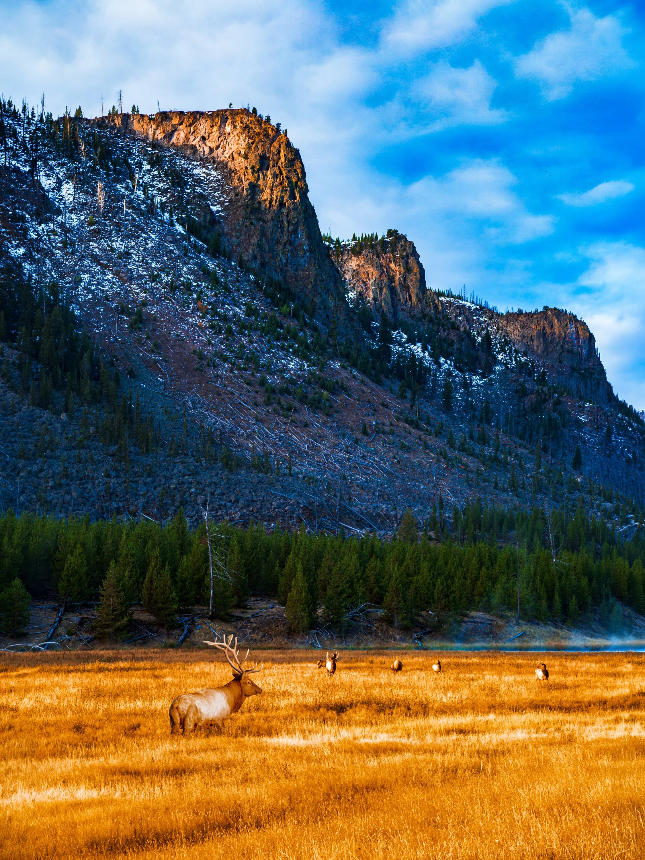 EHP_Nature_Sq Sp Site_025.jpg