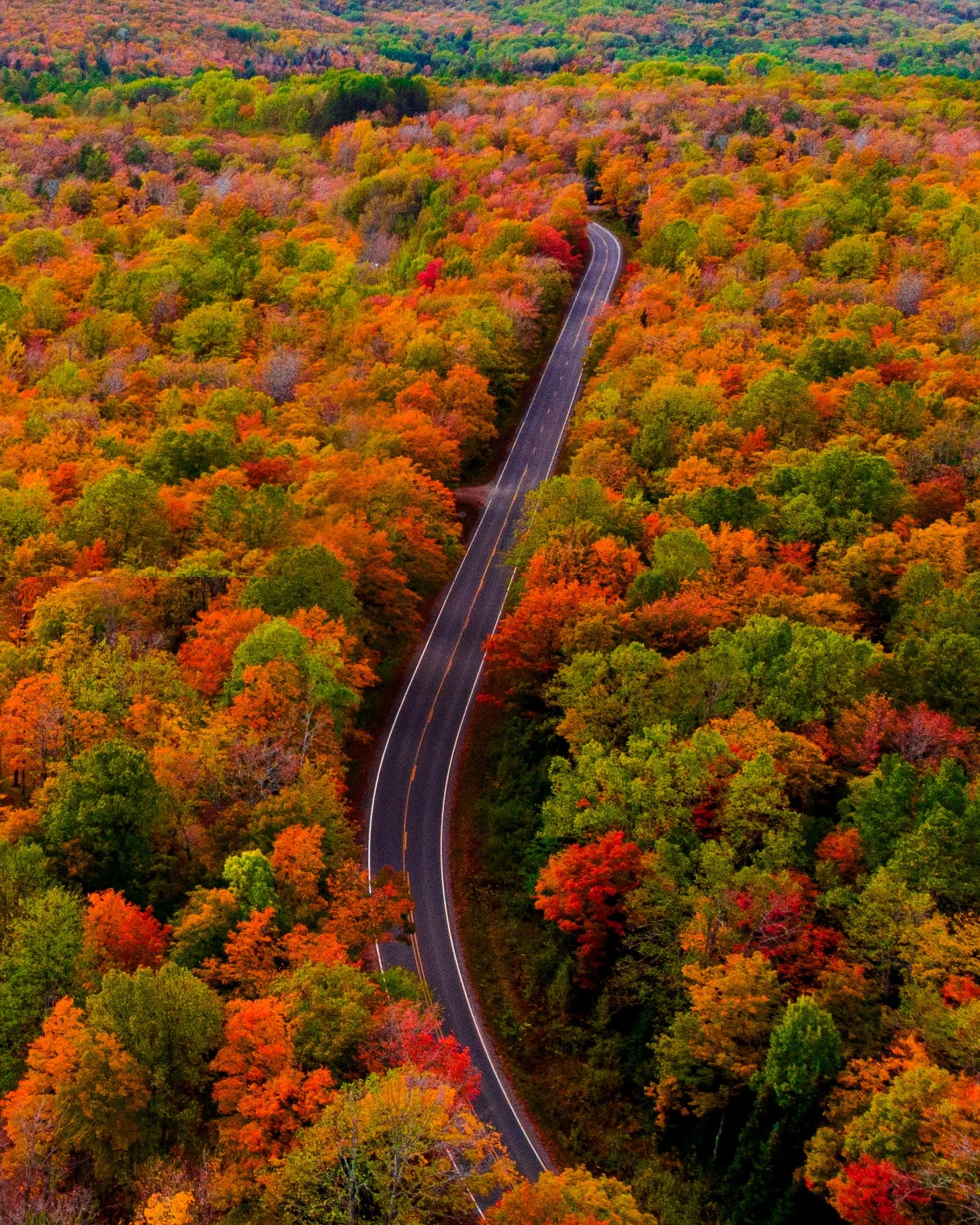 EHP_Nature_Sq Sp Site_034.jpg