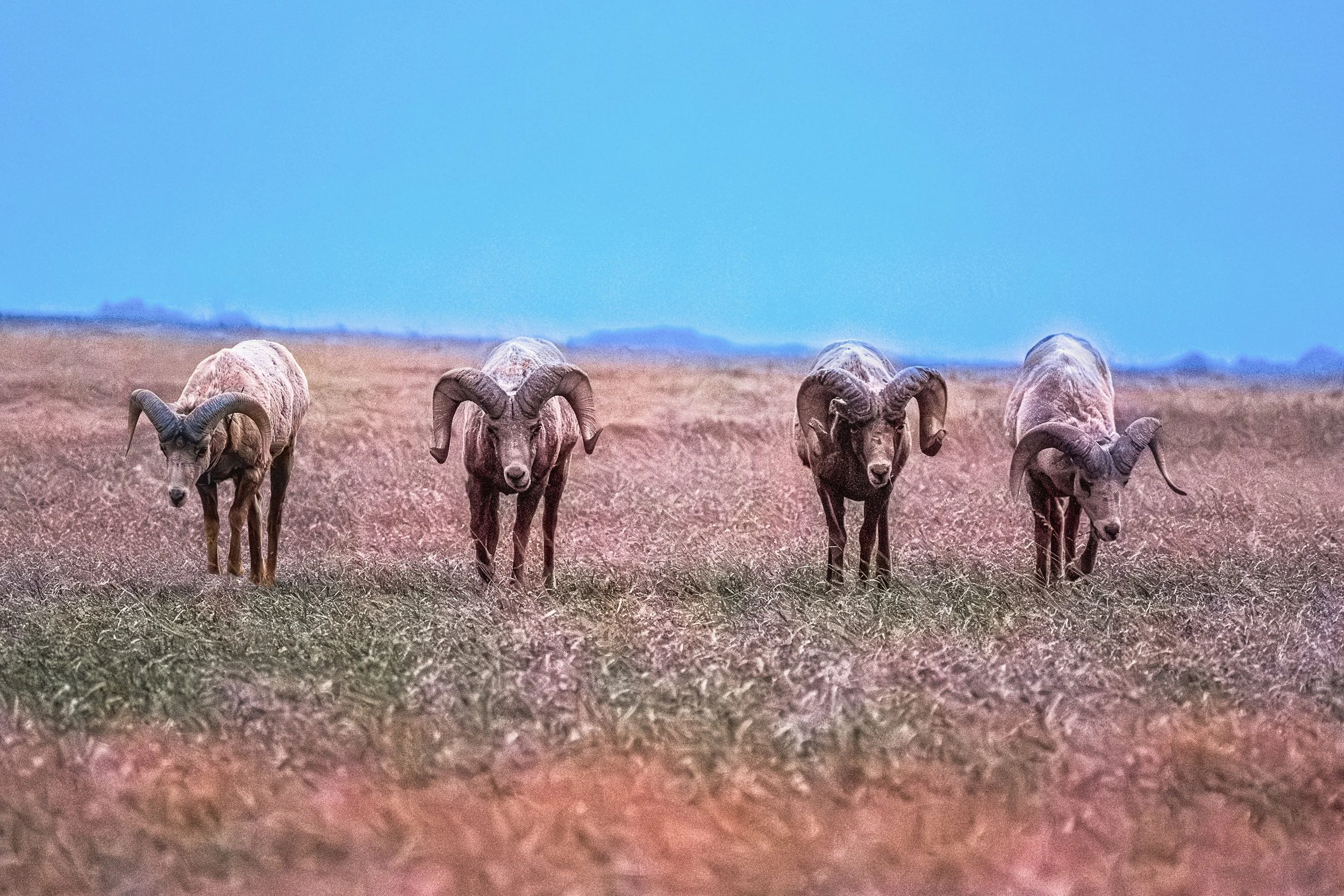 EHP_Nature_Sq Sp Site_069.jpg