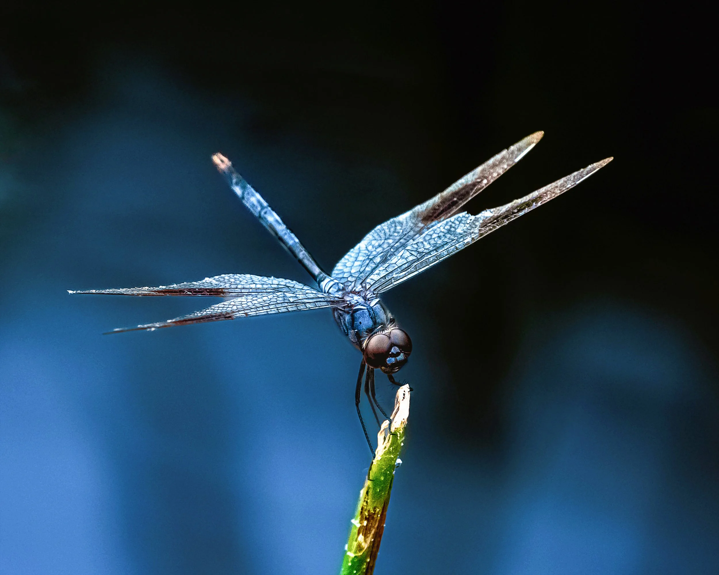 EHP_Nature_Sq Sp Site_047.jpg