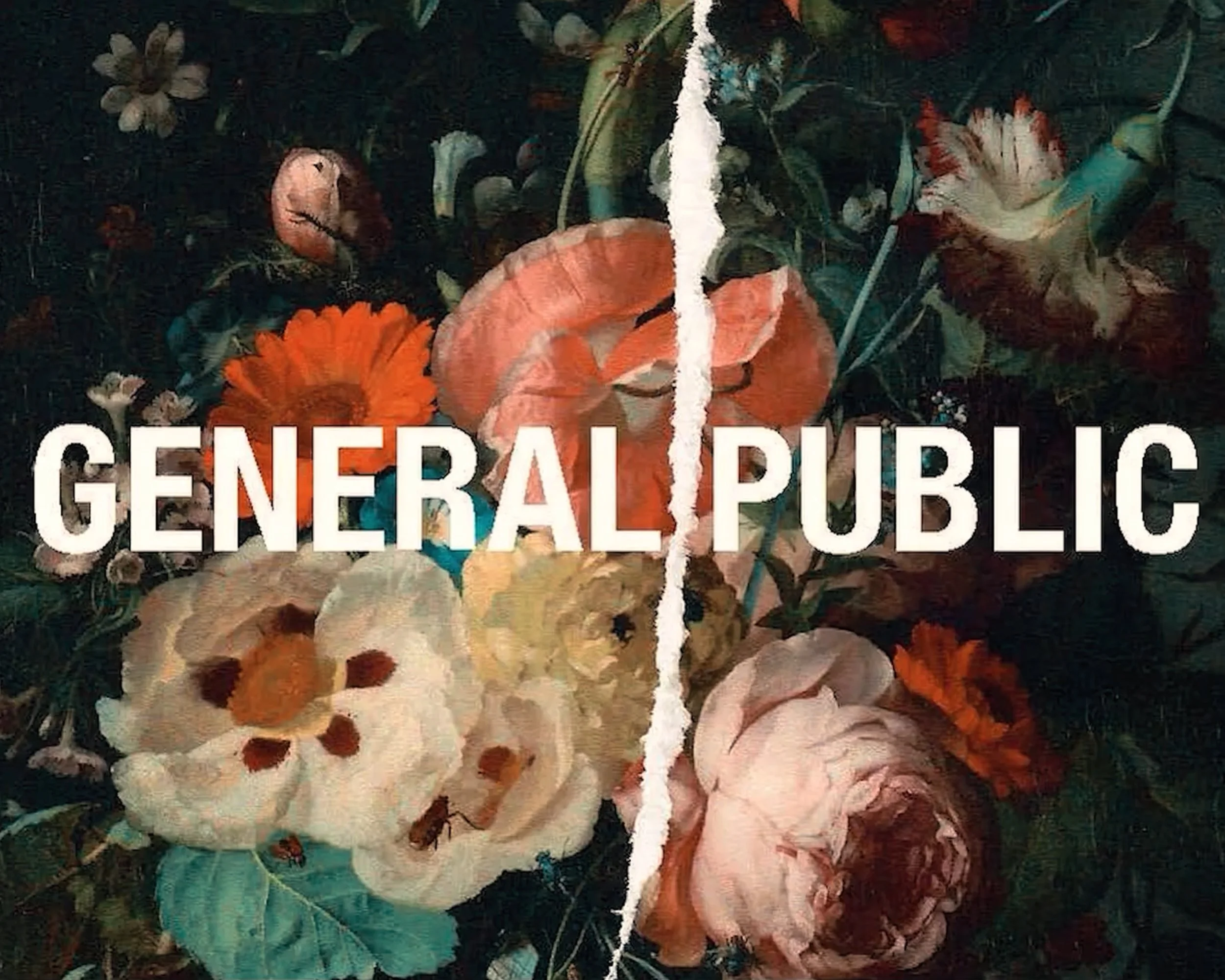 General Public Project