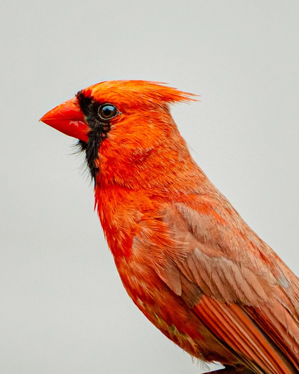 EHP_Nature_Sq Sp Site_054.jpg