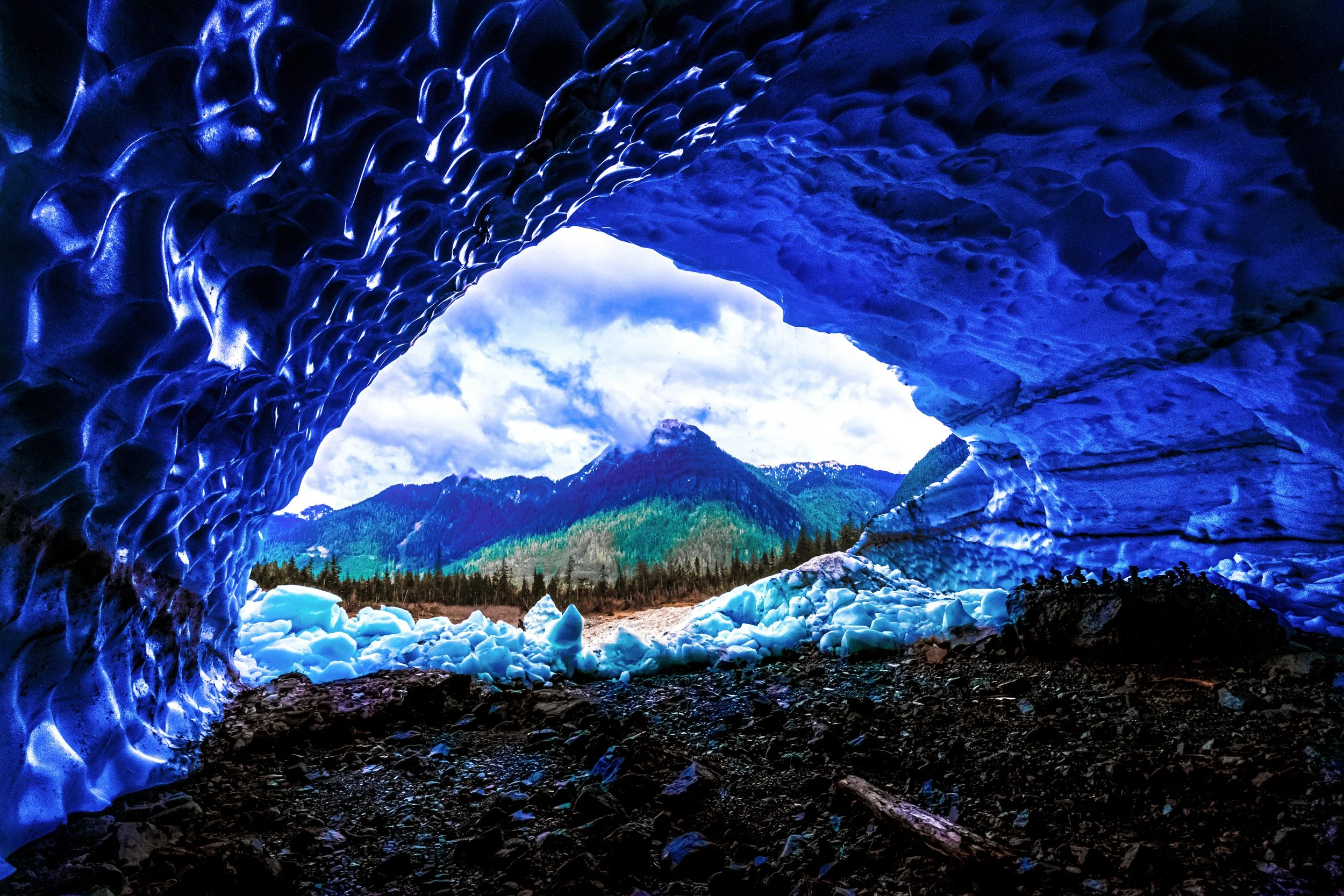 EHP_Nature_Sq Sp Site_120.jpg