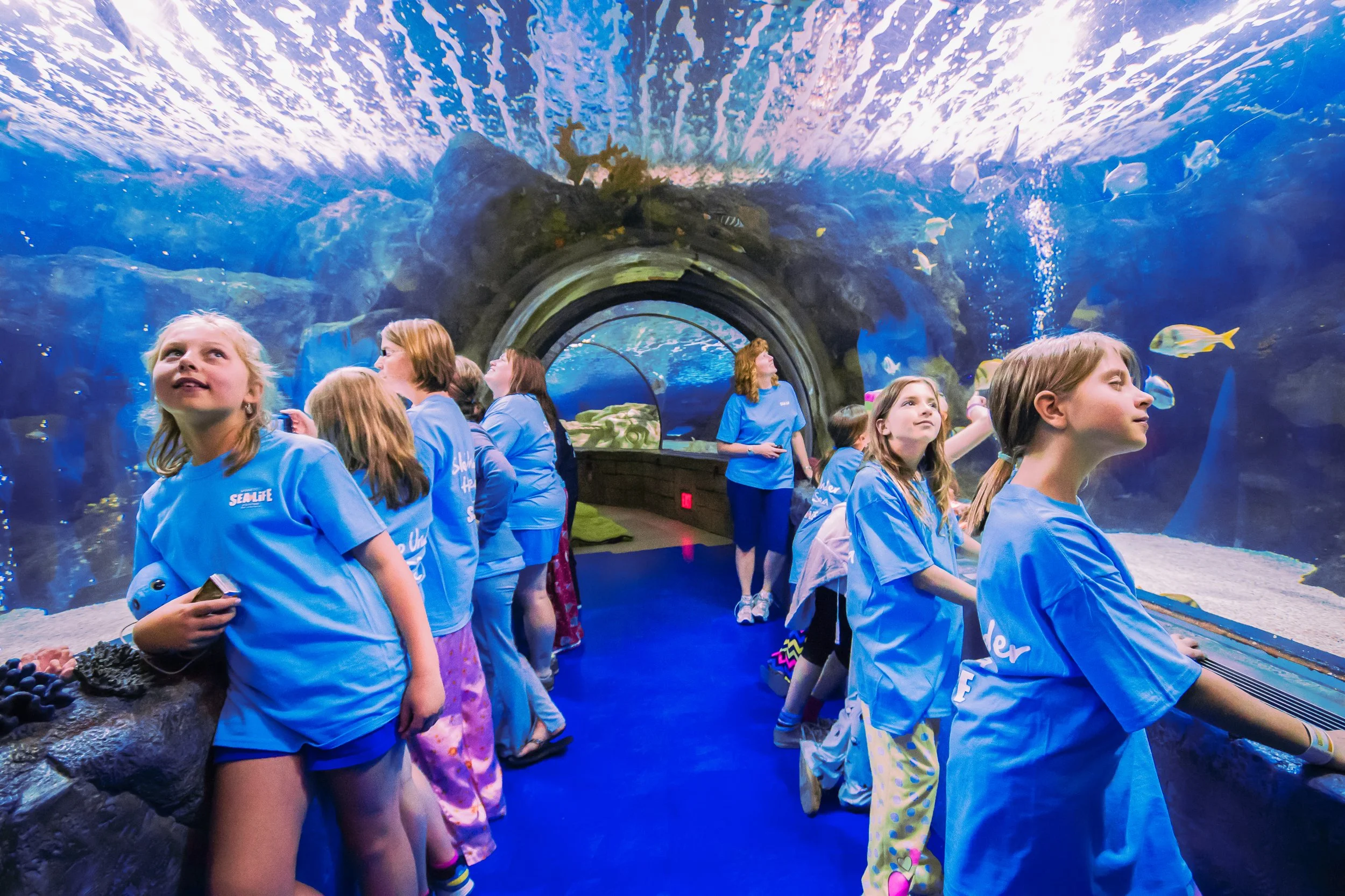 EHP_SEALIFE_002.jpg