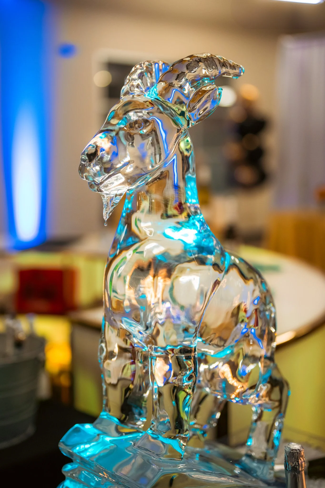 POPE _50th Anniv_2024_04.jpg