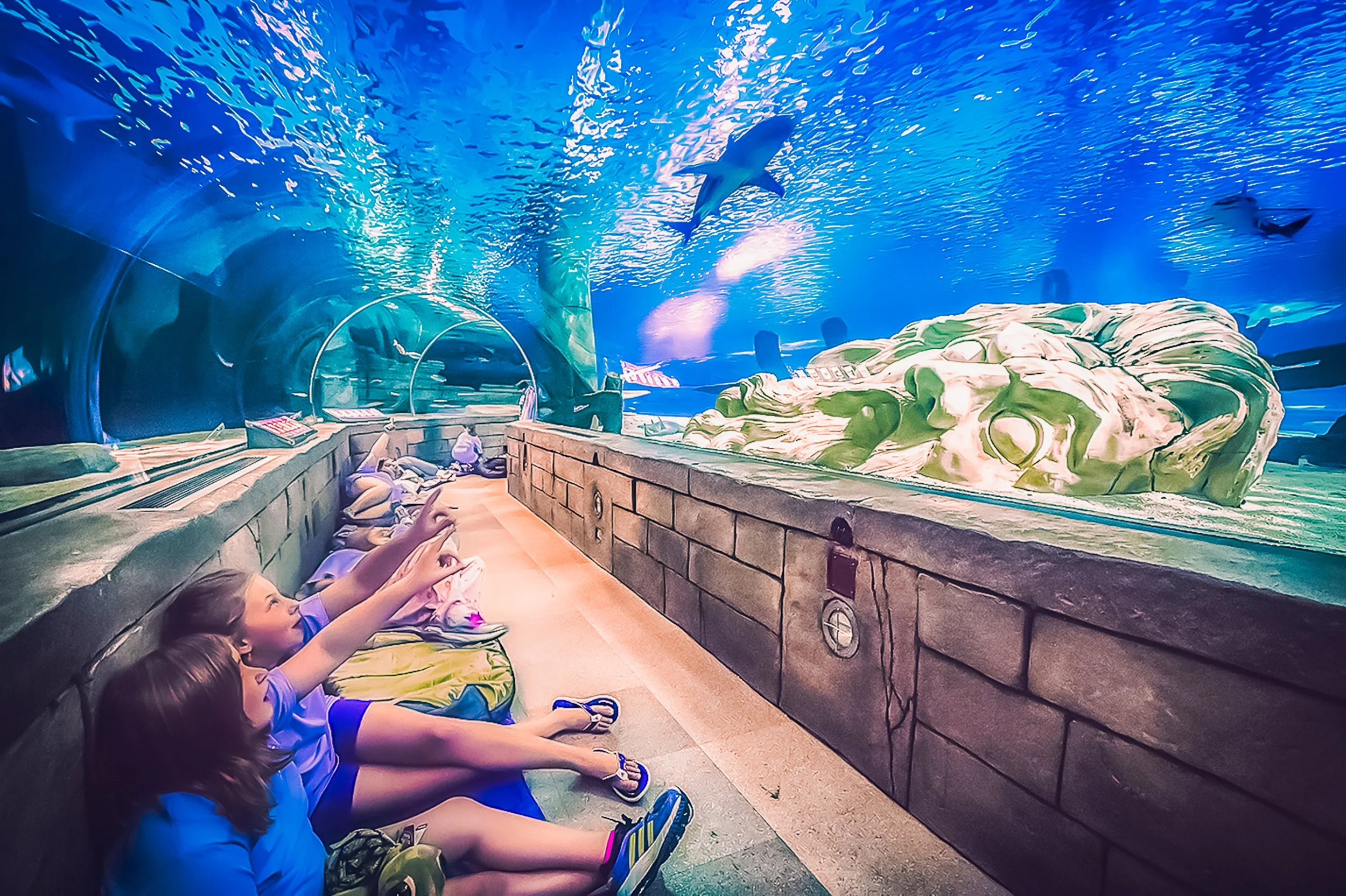 EHP_SEALIFE_001.jpg
