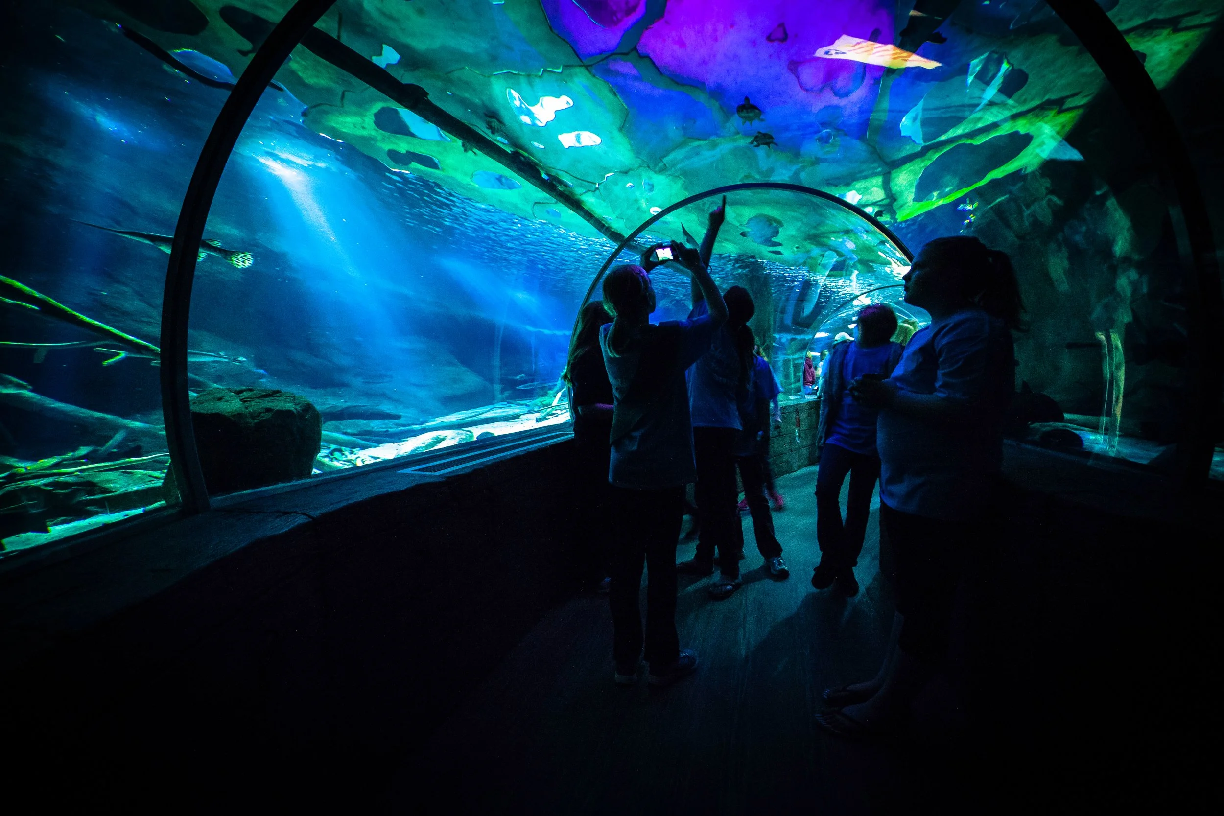 EHP_SEALIFE_003.jpg