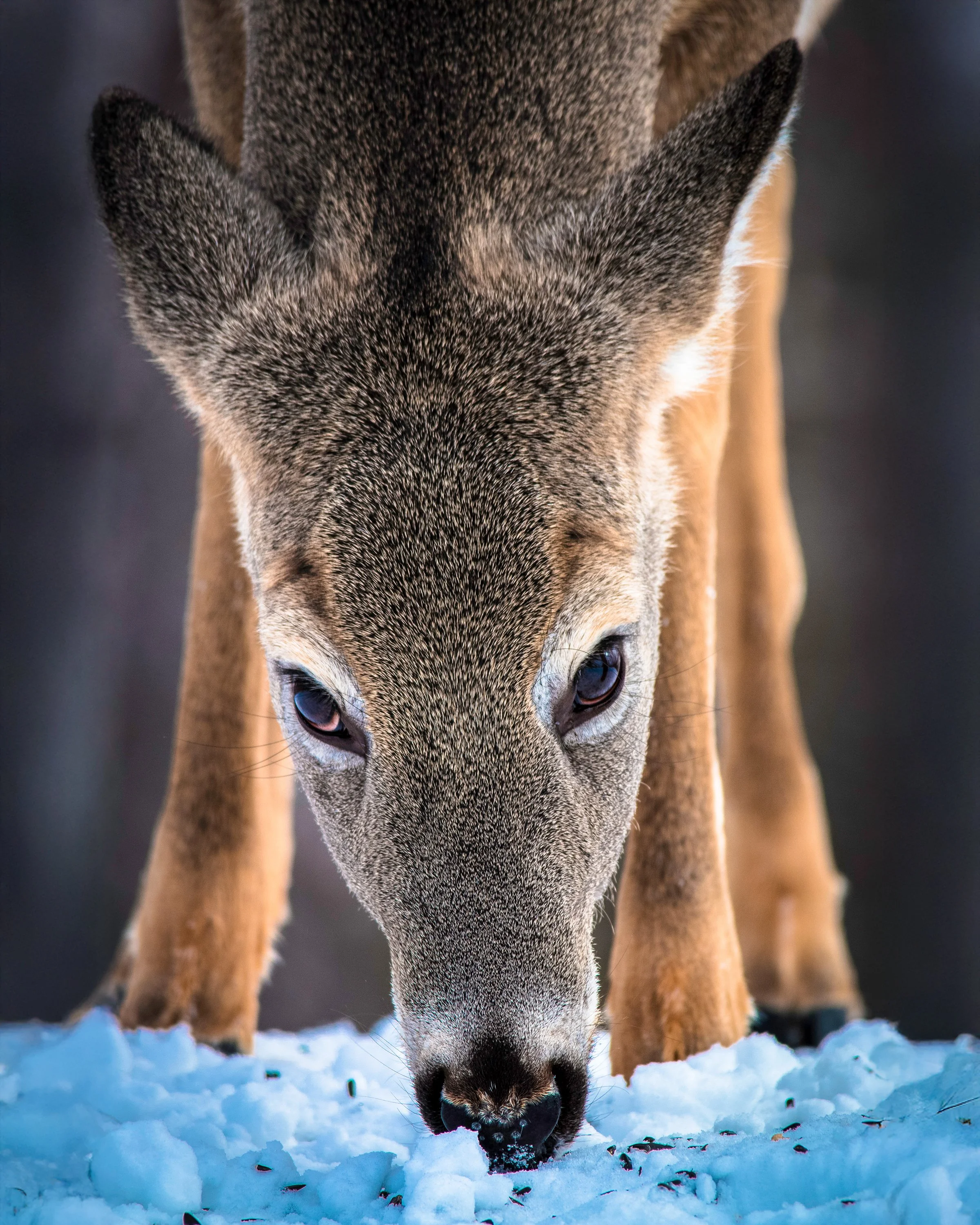 EHP_Nature_Sq Sp Site_065.jpg