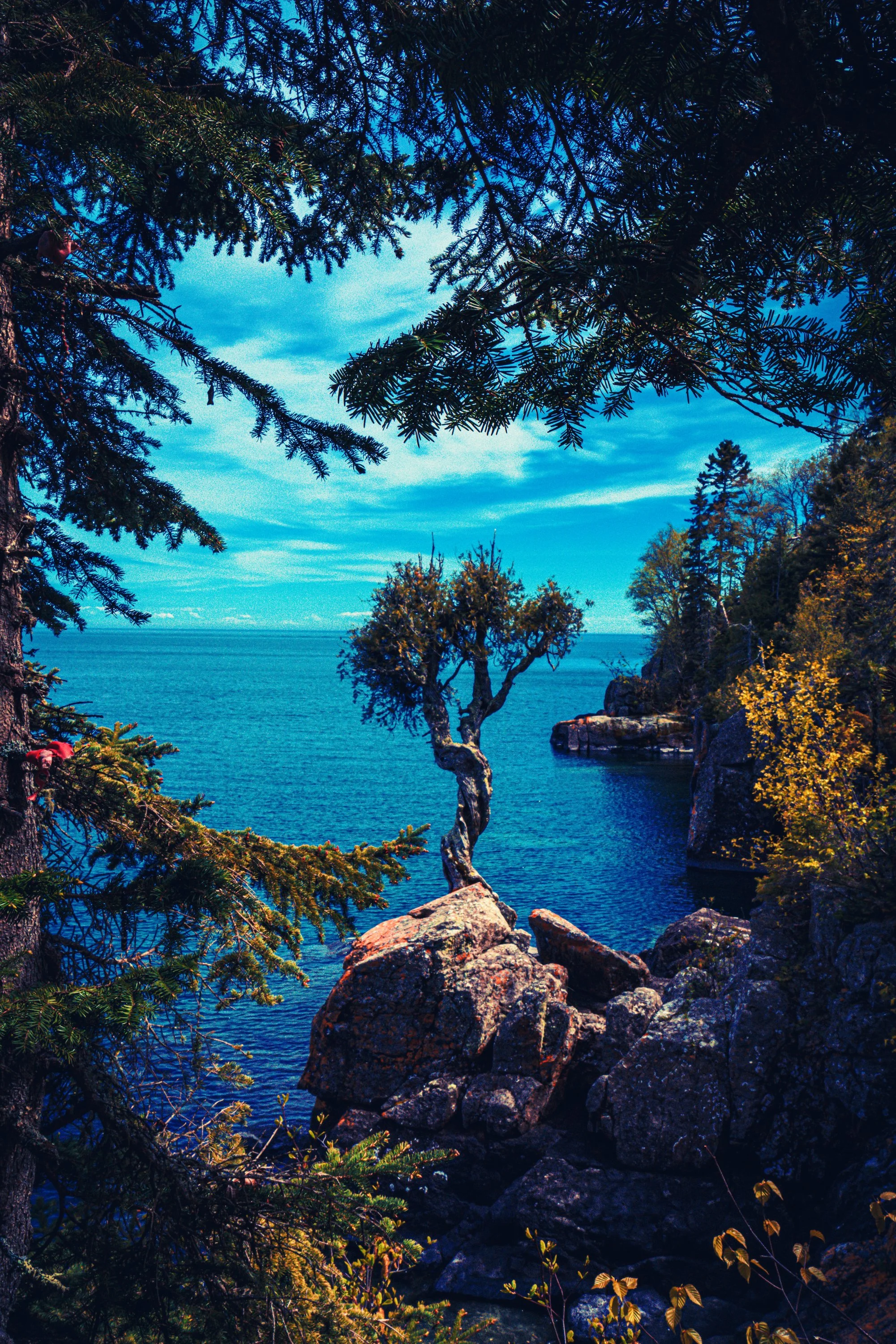 EHP_Nature_Sq Sp Site_058.jpg