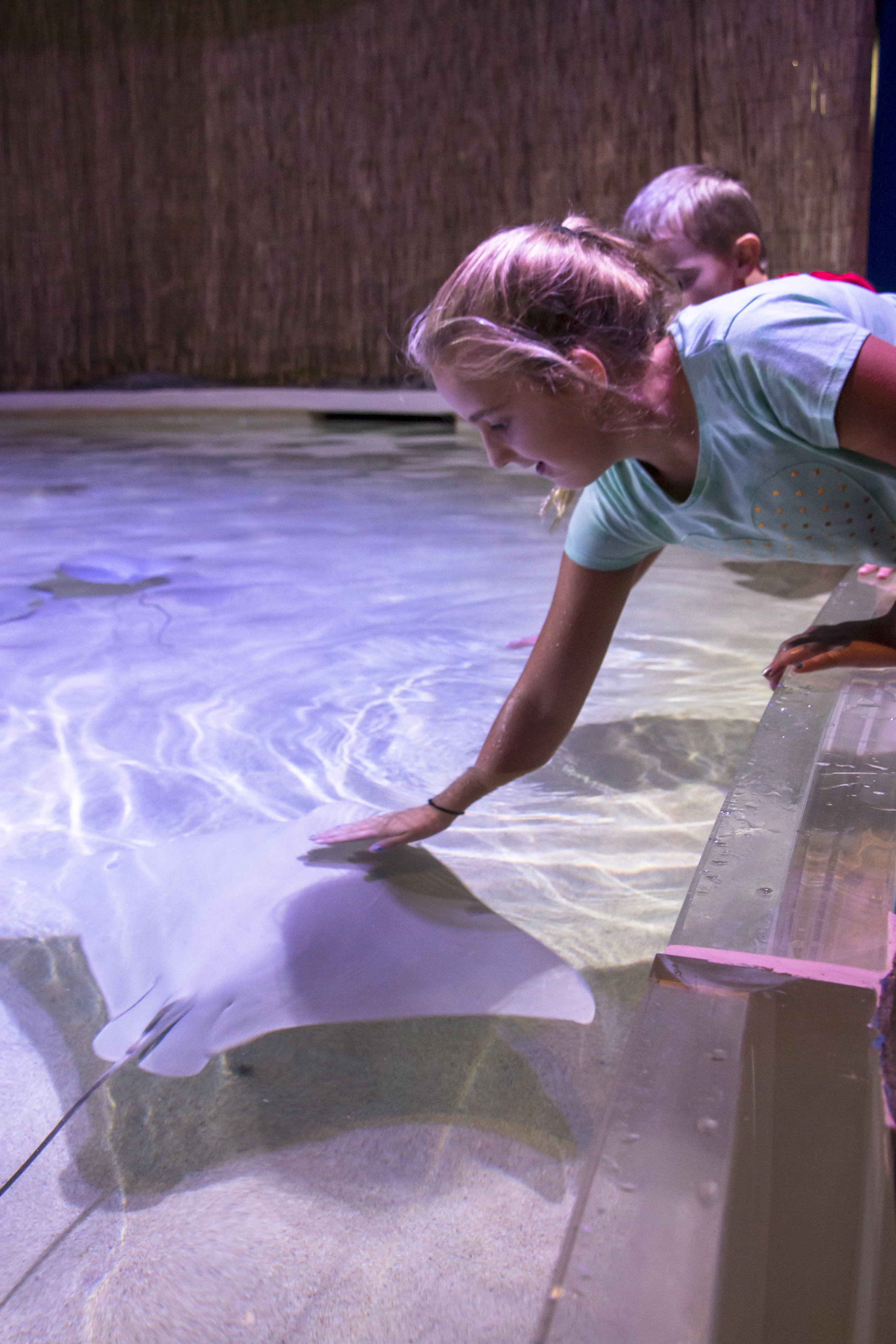 EHP_SEALIFE_020.jpg