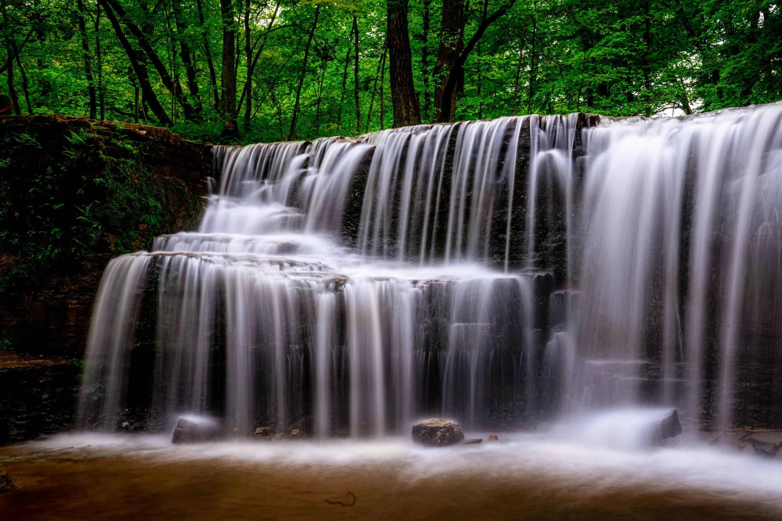 EHP_Nature_Sq Sp Site_059.jpg