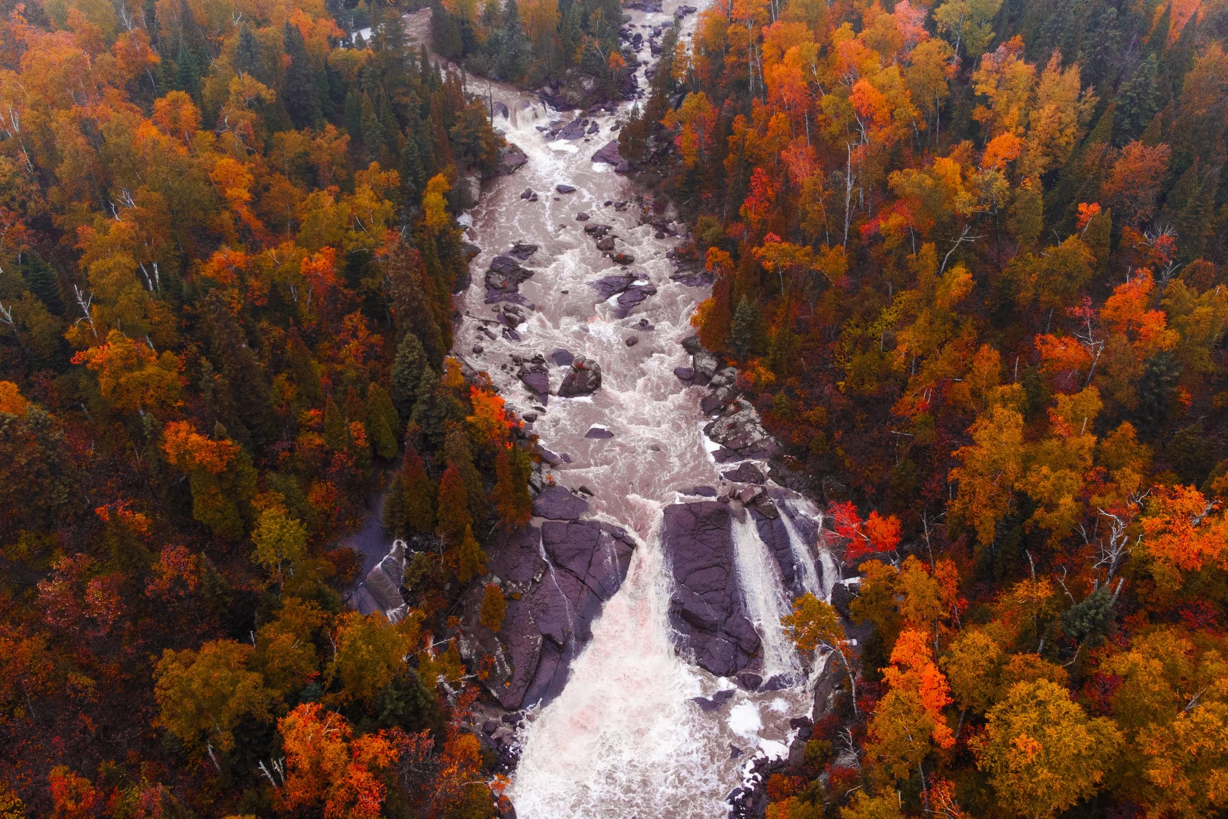 EHP_Nature_Sq Sp Site_036.jpg