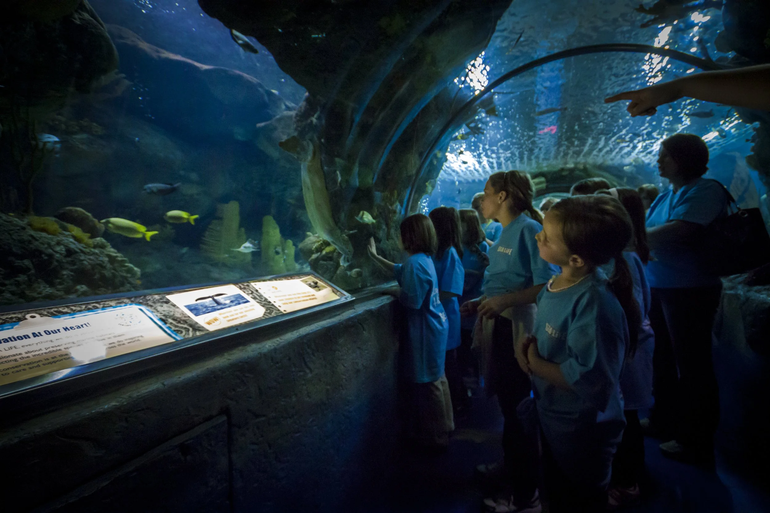 EHP_SEALIFE_004.jpg