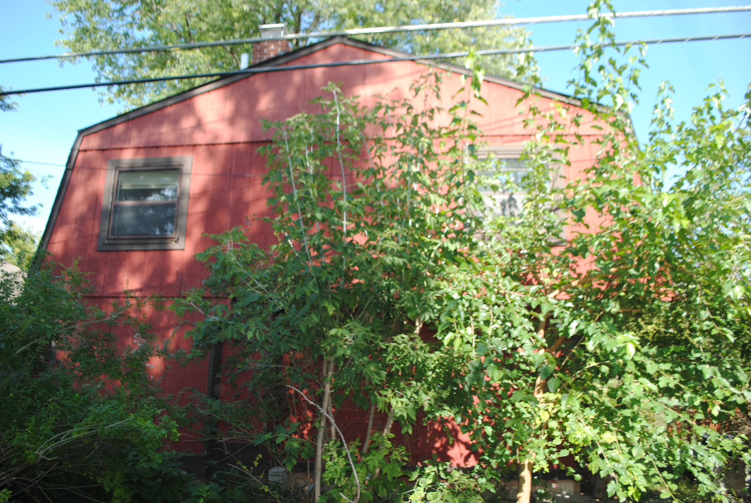Rear of the barn - er... house