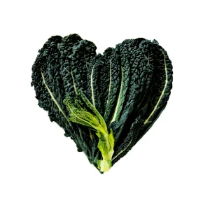 DAHL HOUSE PHILOSOPHY 